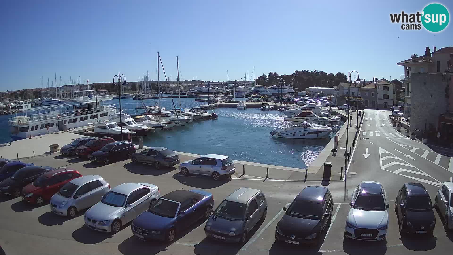 Novigrad | Porporela marina