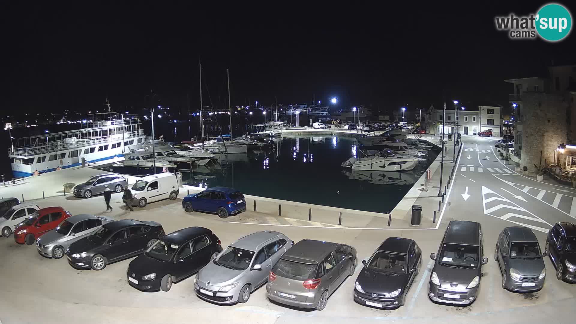 Novigrad | Porporela marina