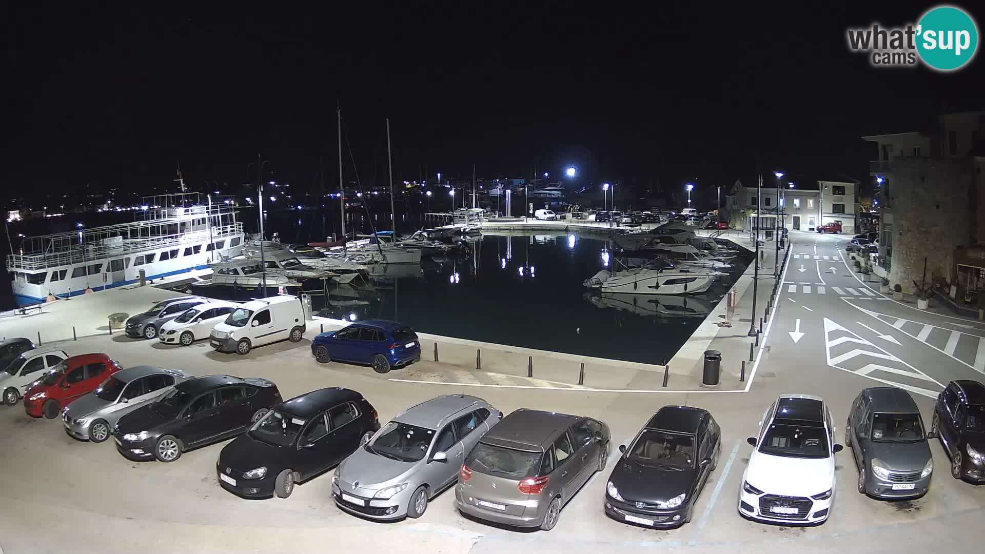 Novigrad | Porporela marina