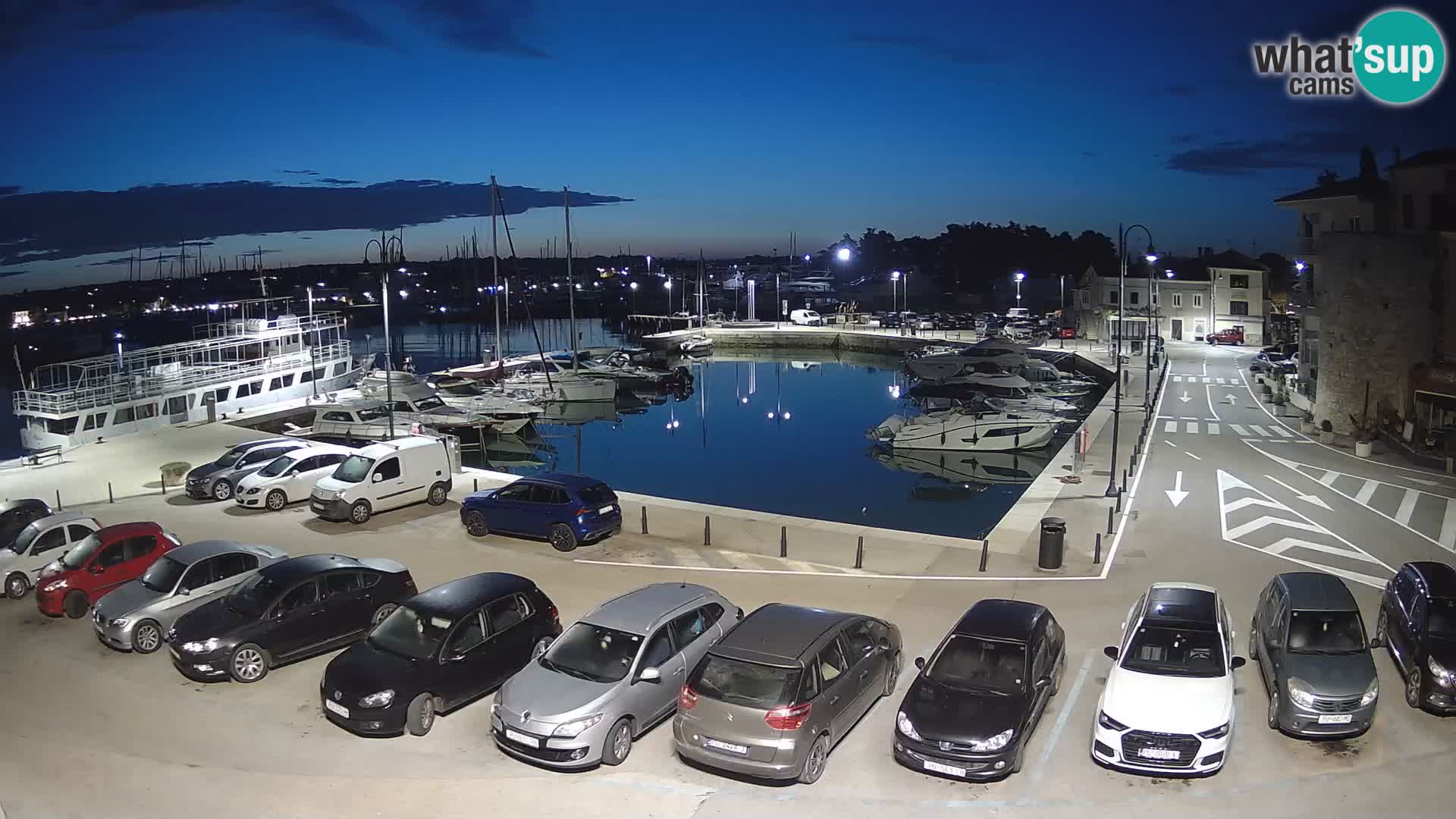 Novigrad | Porporela marina