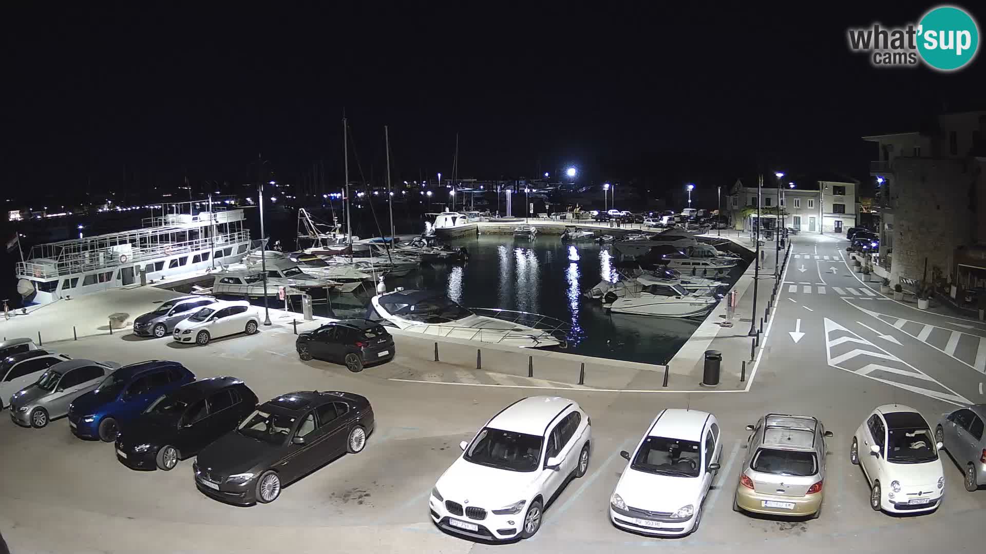 Novigrad | Porporela marina