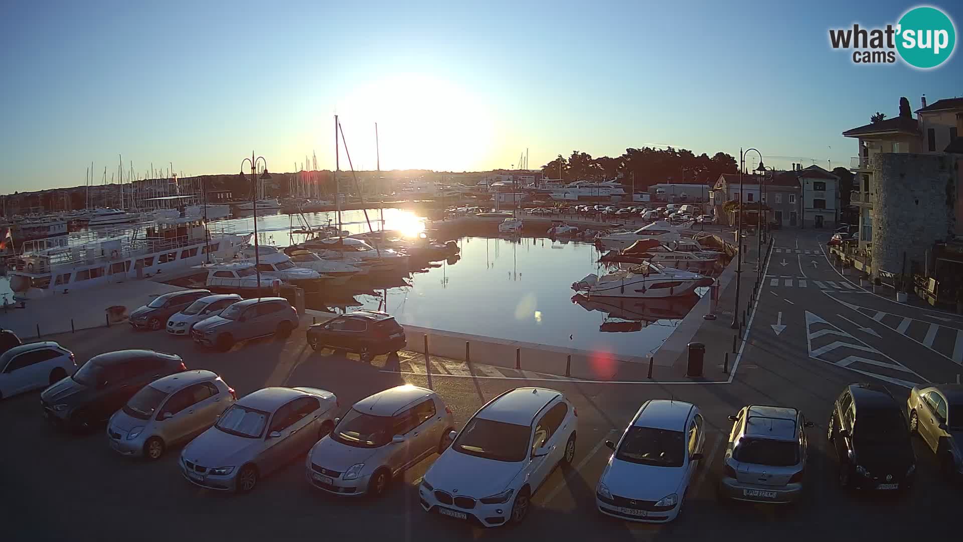 Novigrad | Porporela marina