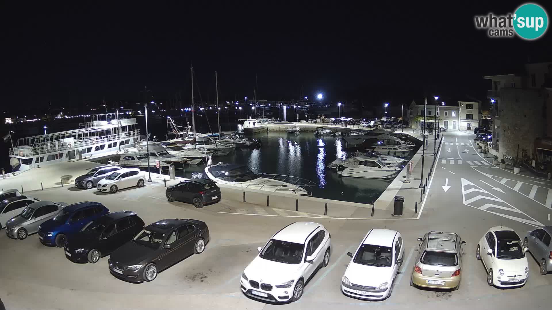Novigrad | Porporela marina