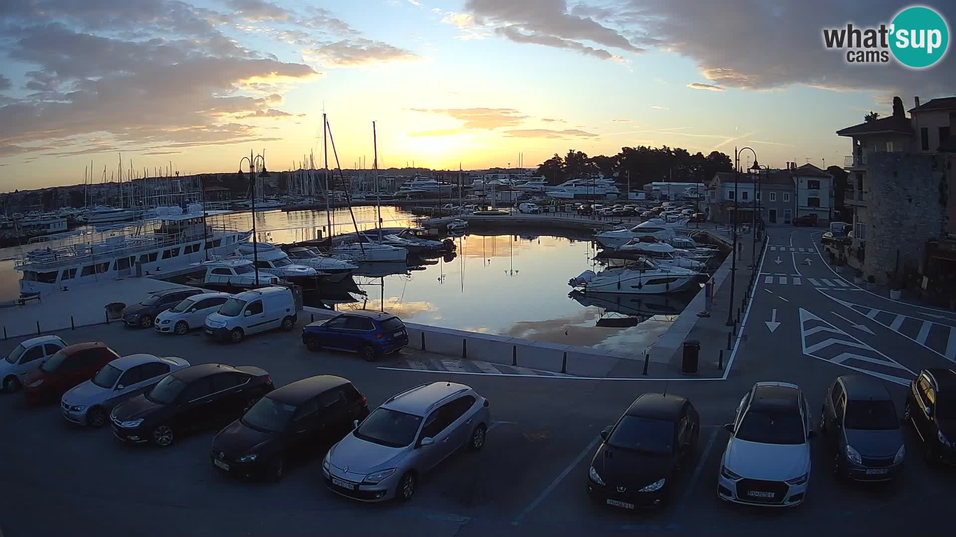 Novigrad | Porporela marina