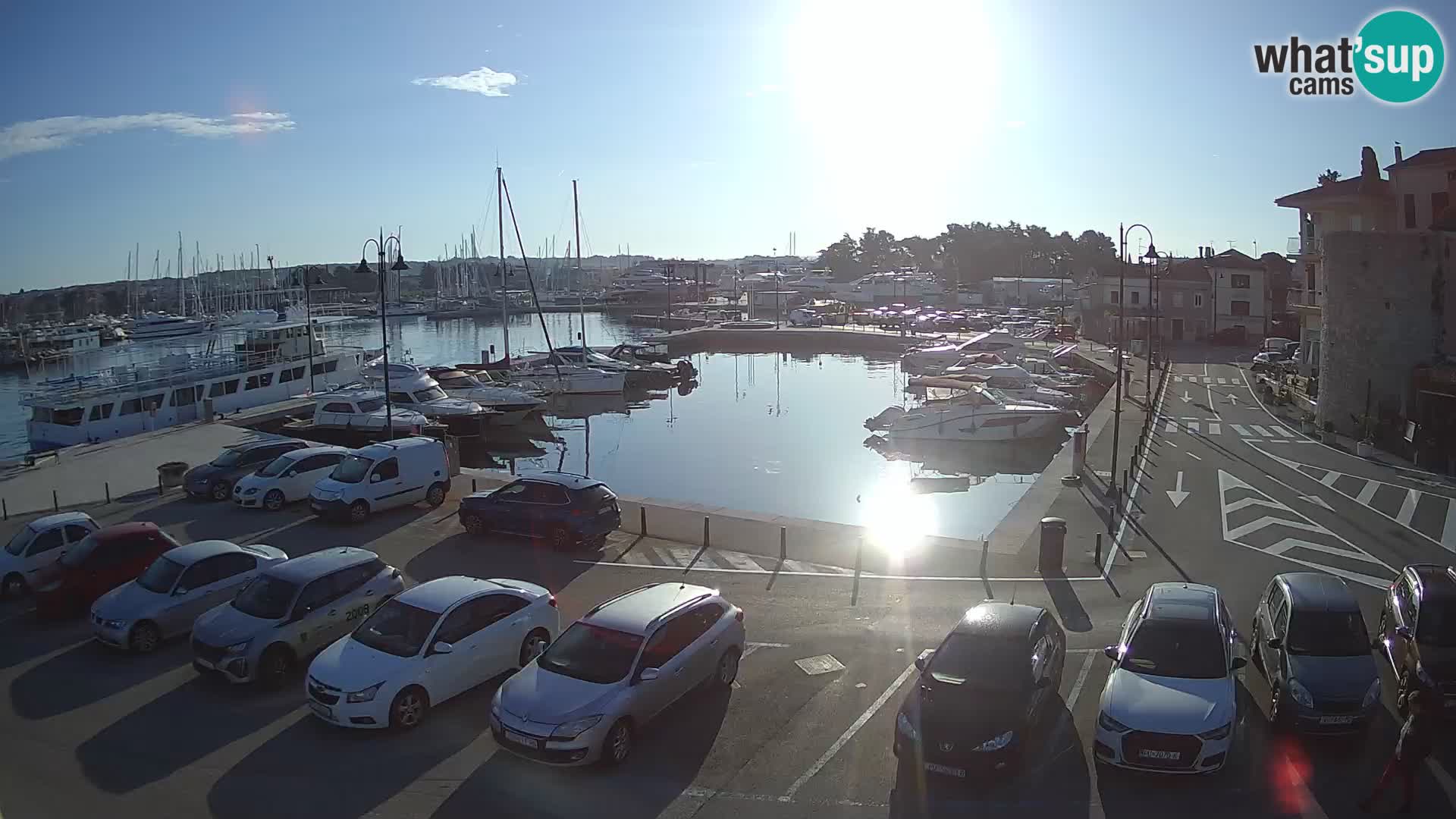 Novigrad | Porporela marina