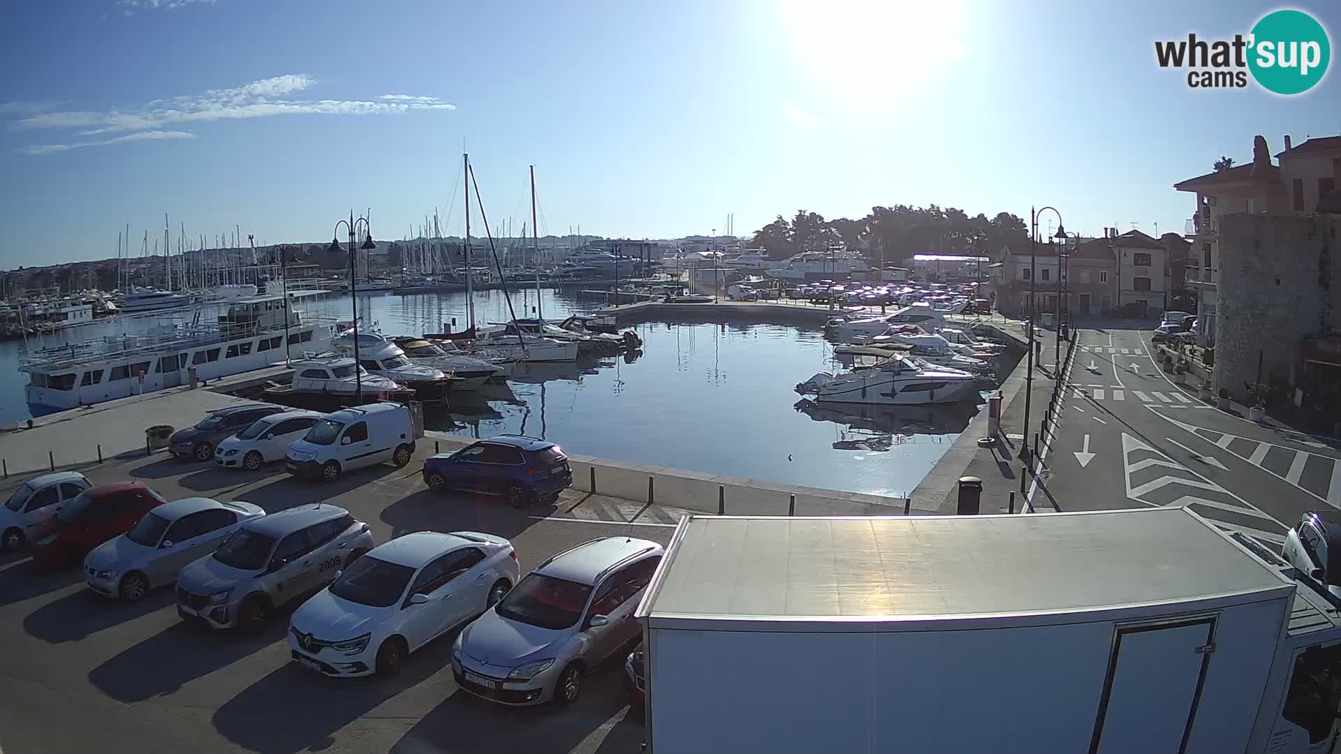 Novigrad | Porporela marina