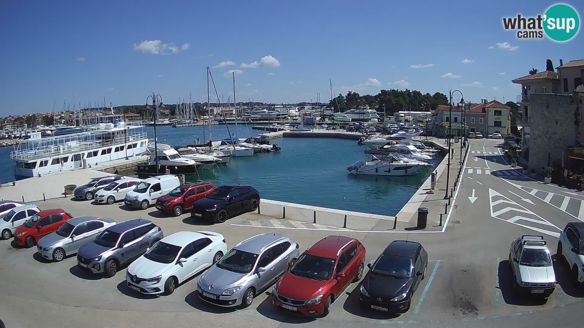 Novigrad | Porporela marina