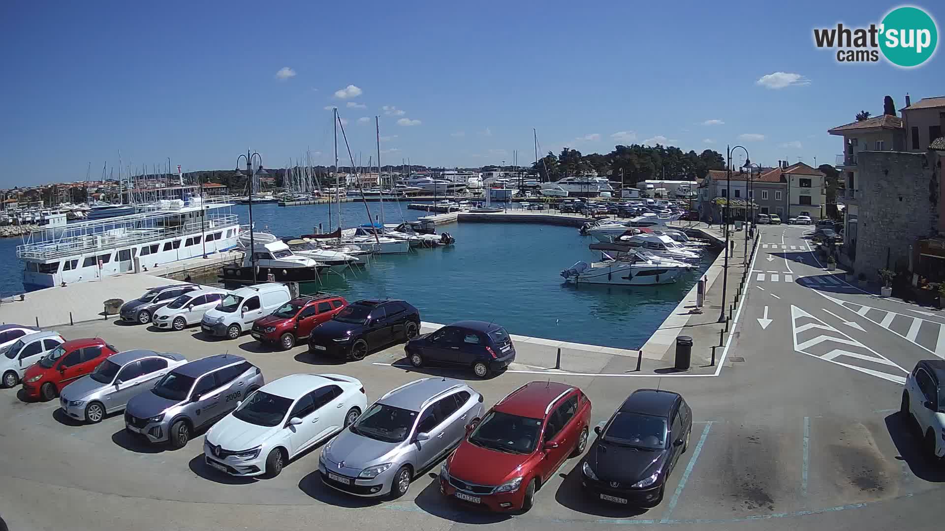 Novigrad | Porporela marina