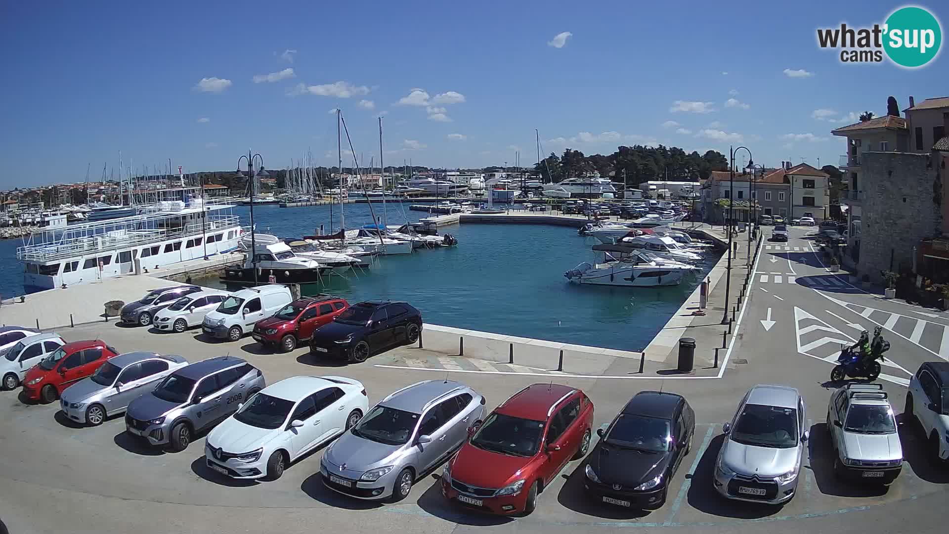 Novigrad | Porporela marina