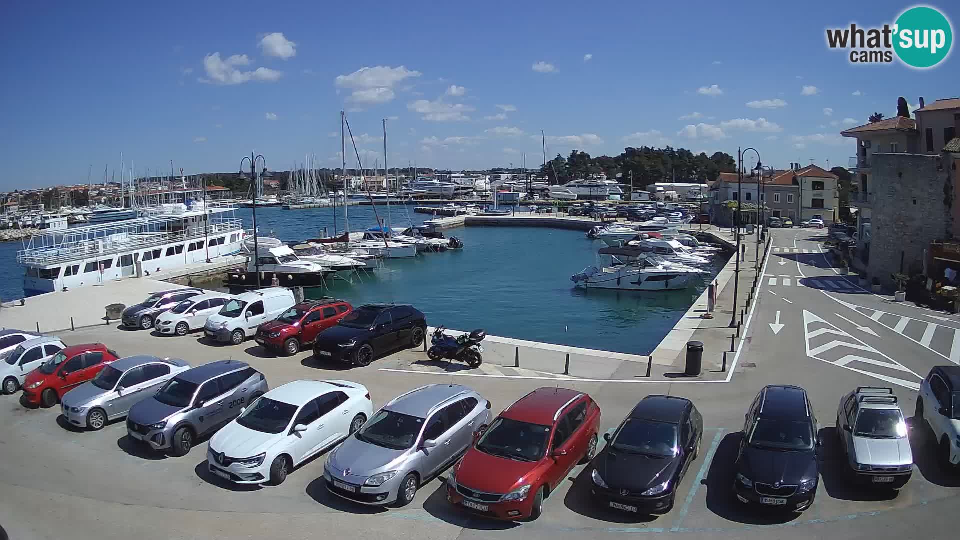 Novigrad | Porporela marina