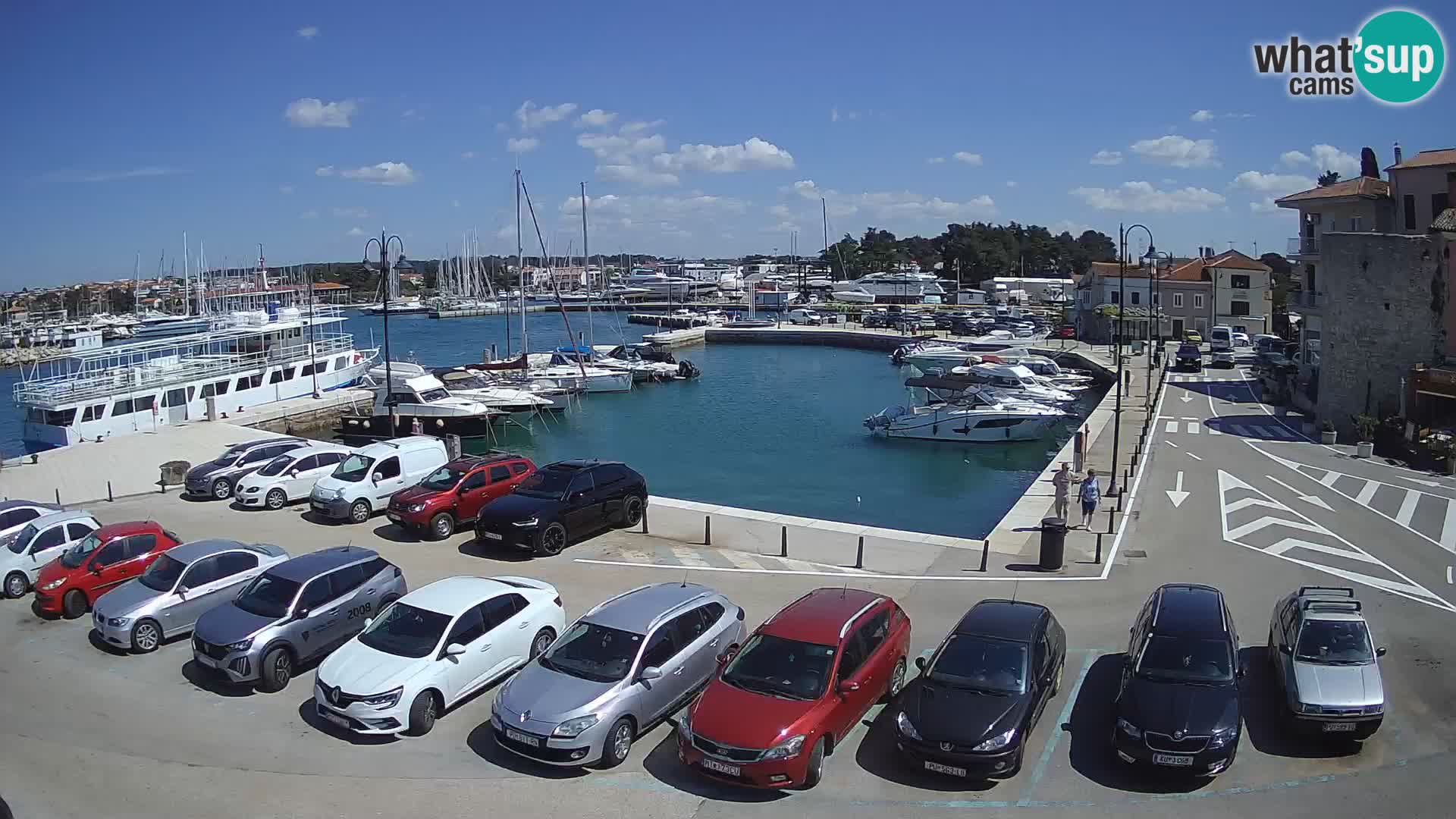 Novigrad | Porporela marina