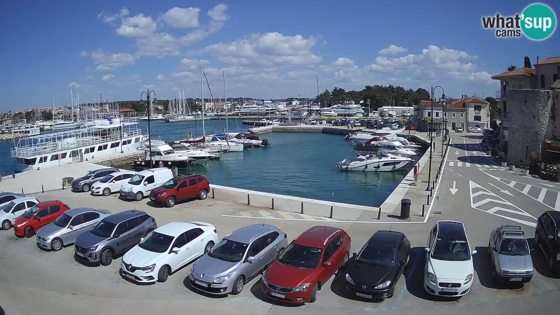 Novigrad | Porporela marina