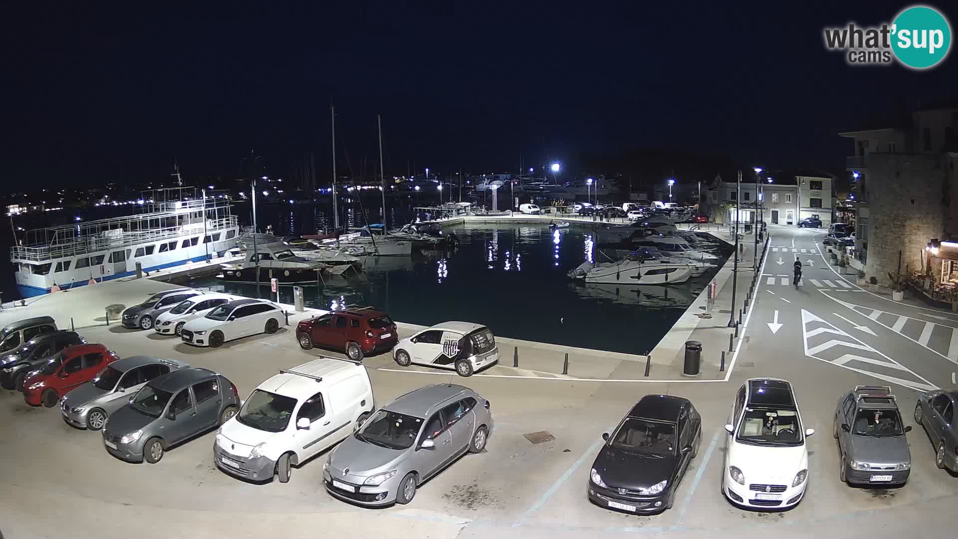 Novigrad | Porporela marina