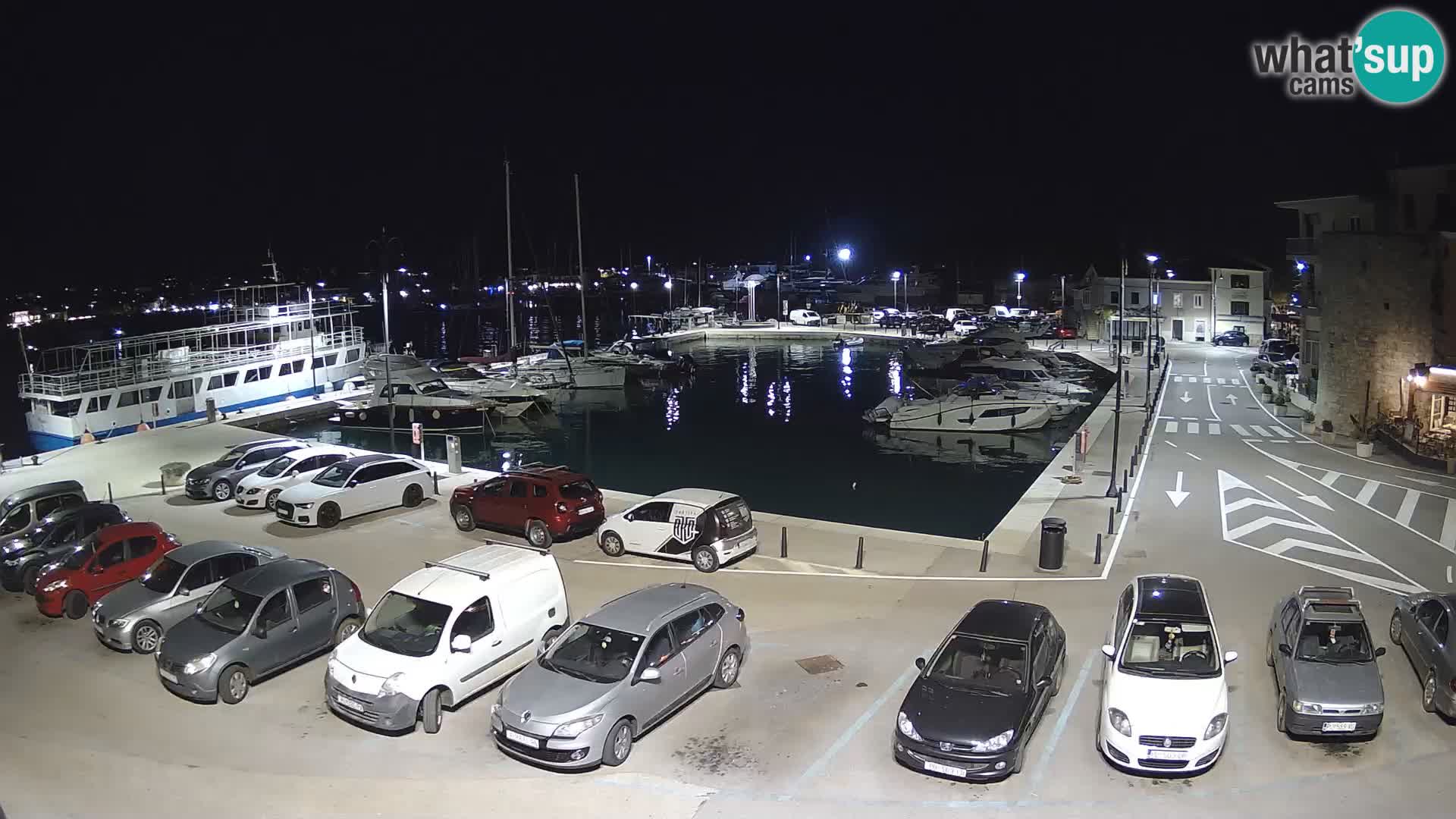 Novigrad | Porporela marina