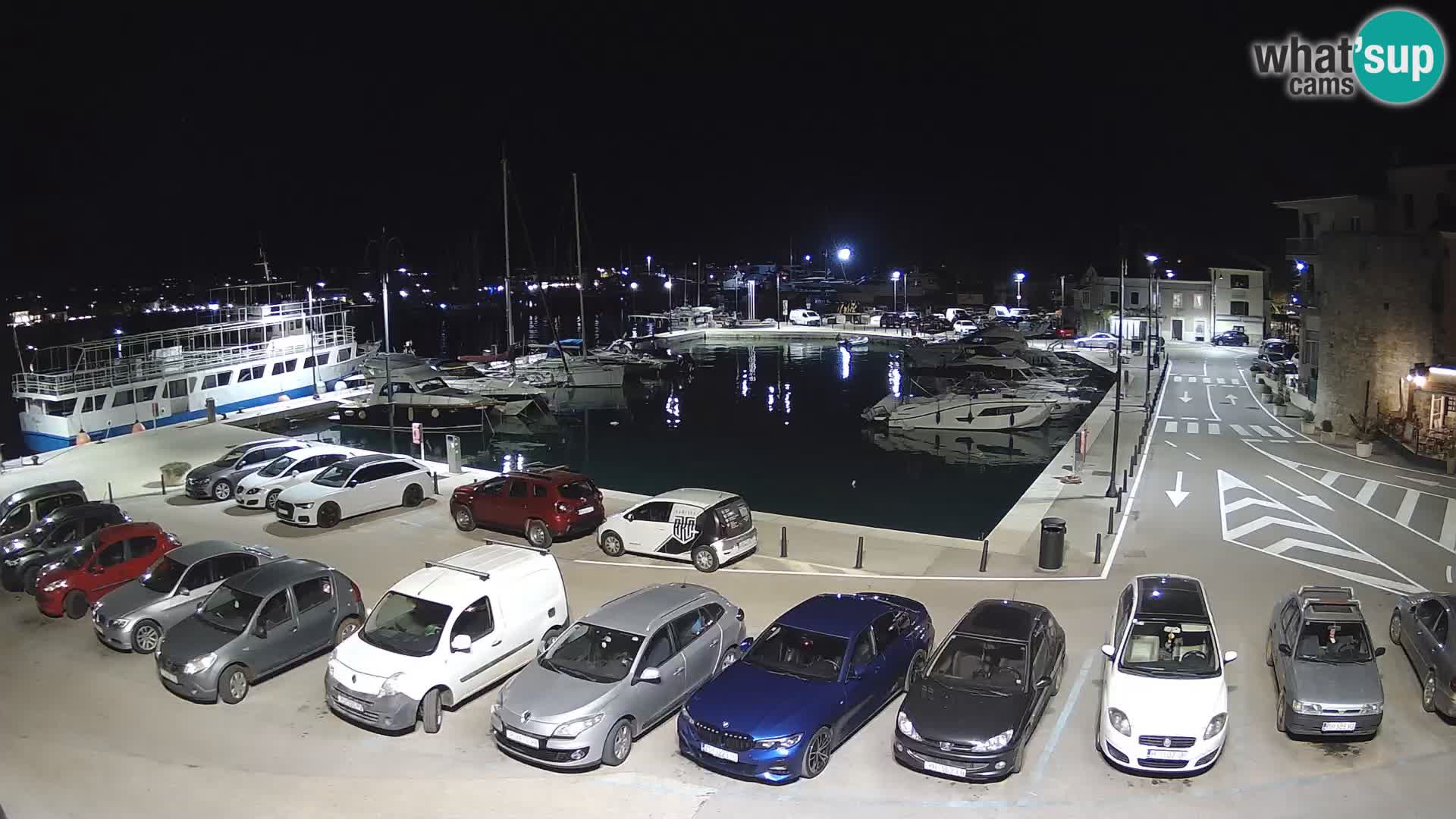 Novigrad | Porporela marina