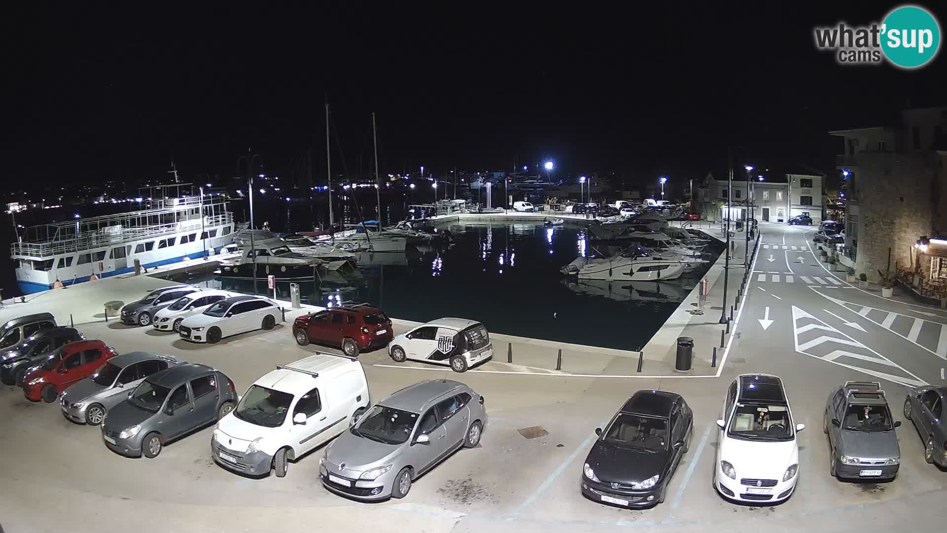 Novigrad | Porporela marina