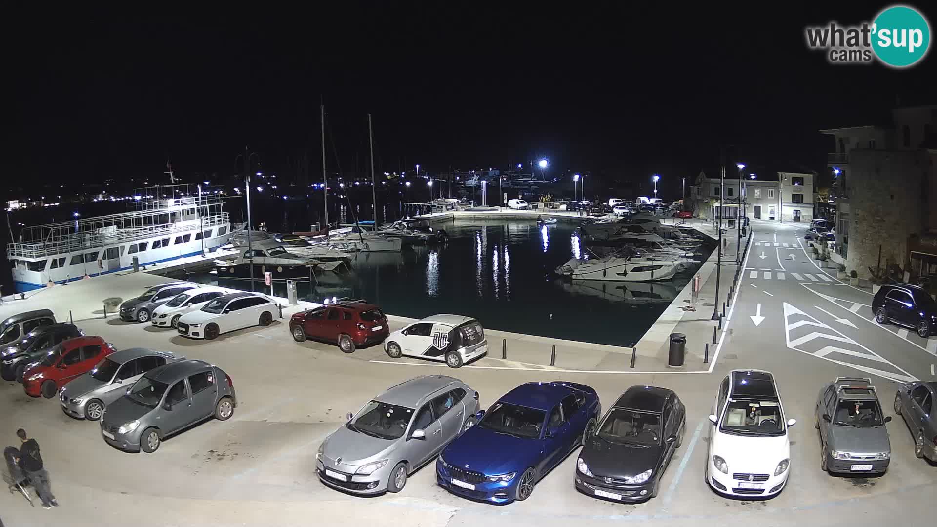 Novigrad | Porporela marina