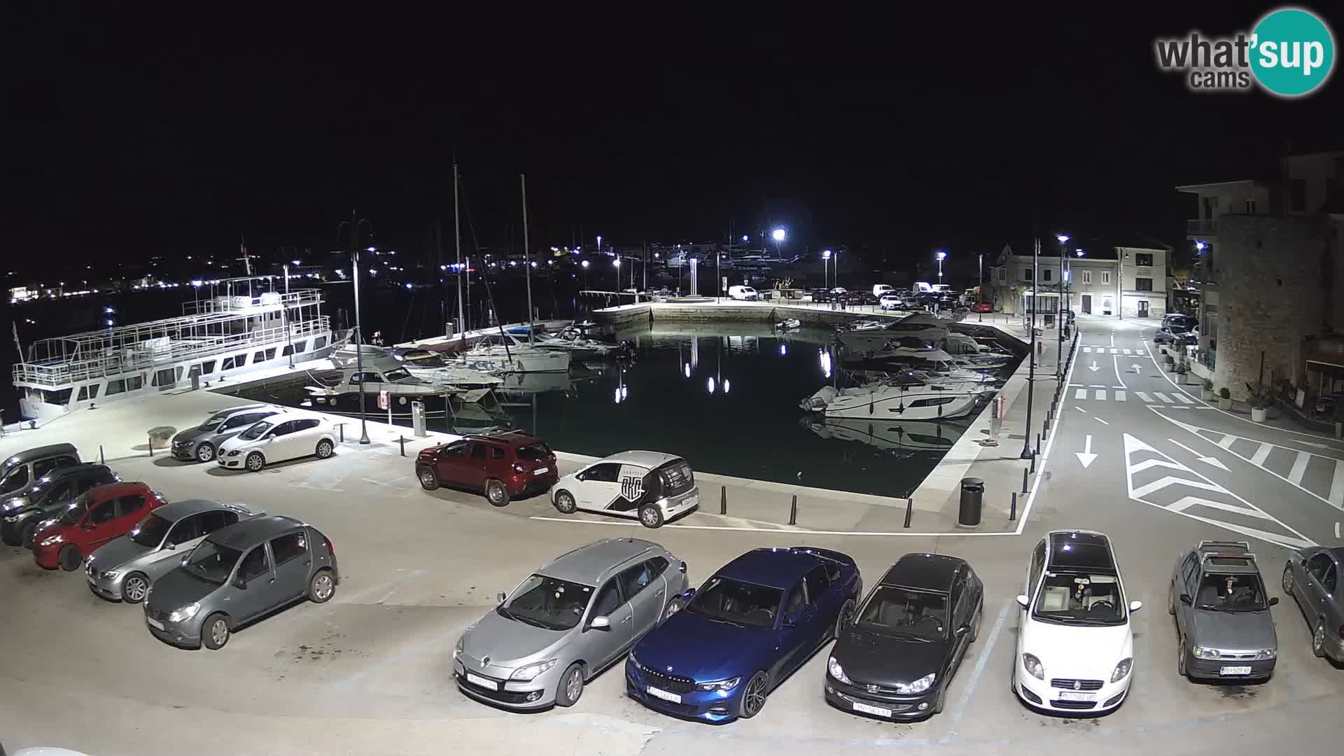 Novigrad | Porporela marina