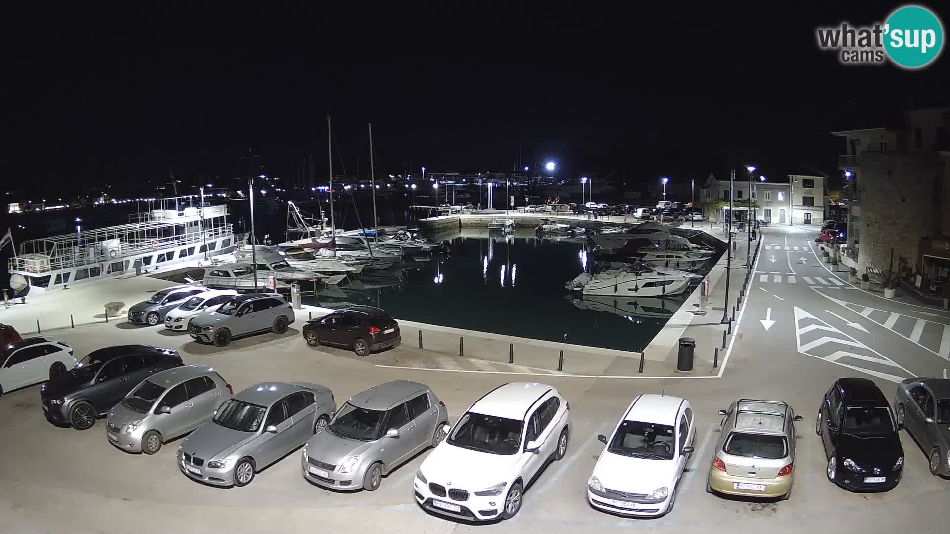Novigrad | Porporela marina