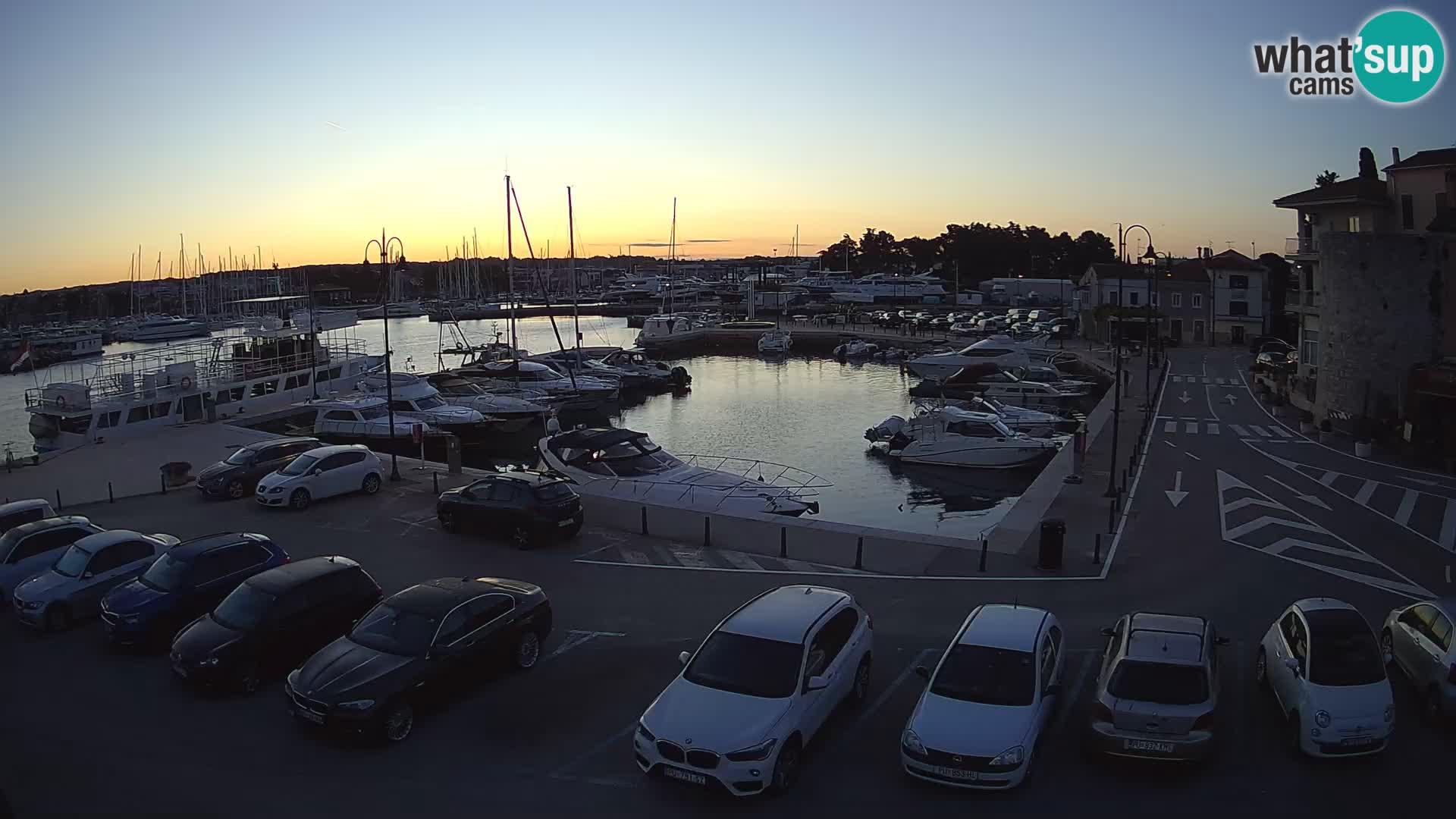 Novigrad | Porporela marina