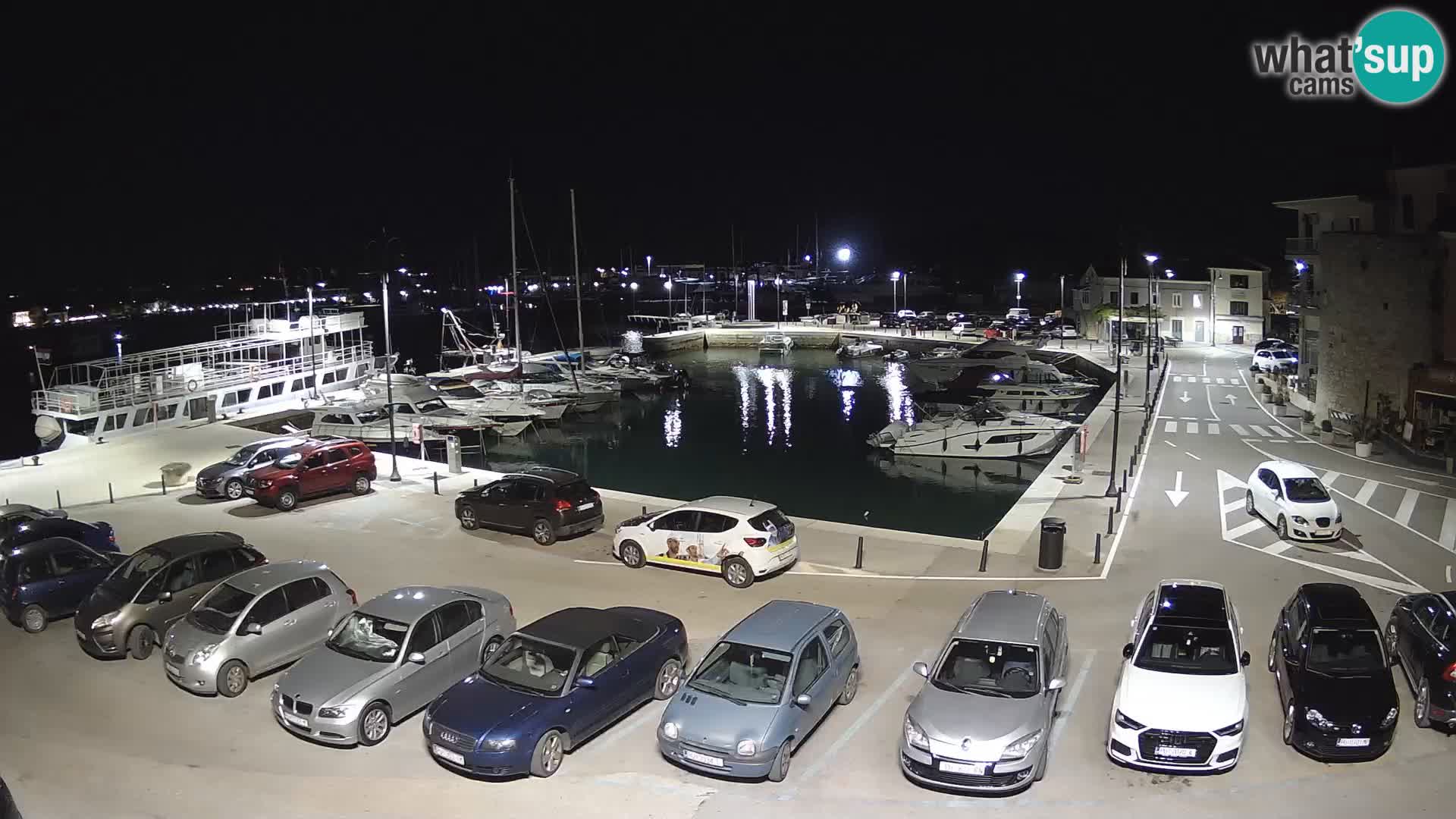 Novigrad | Porporela marina