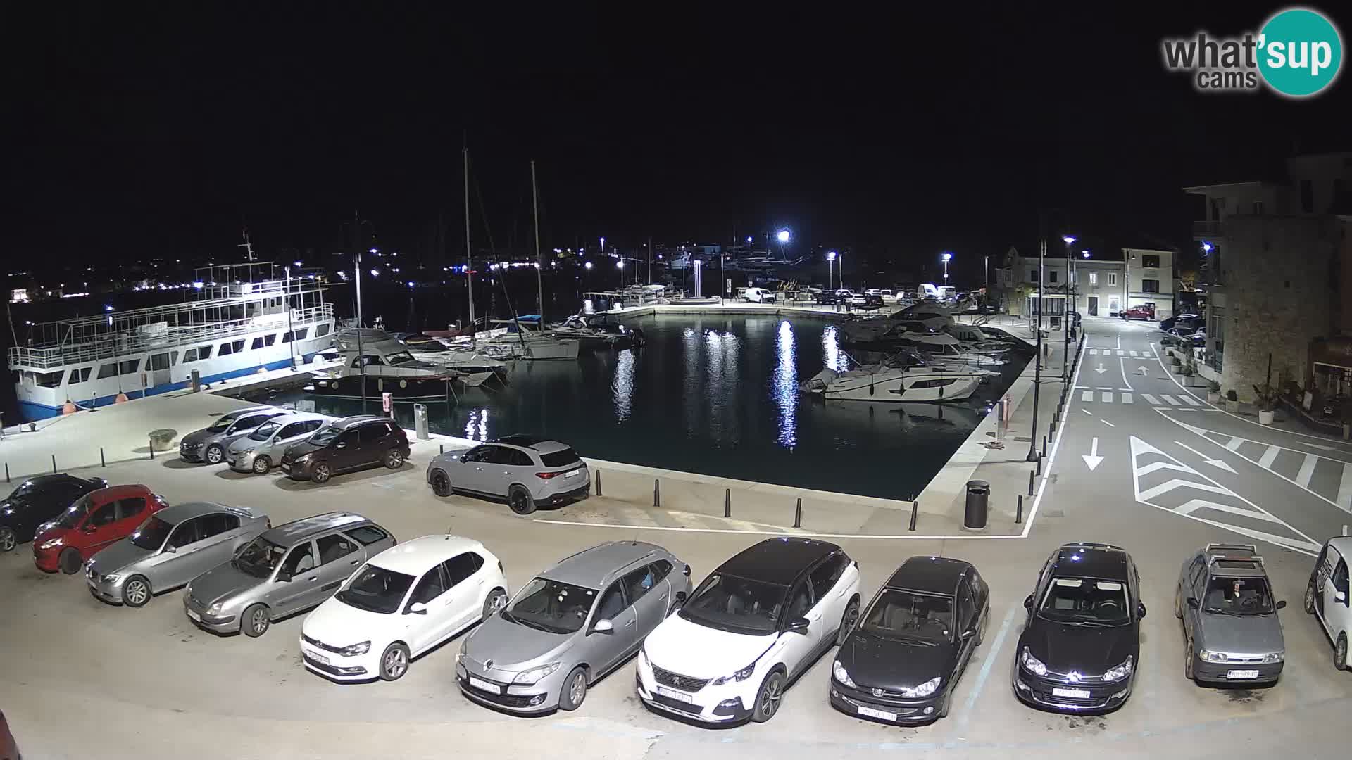 Novigrad | Porporela marina