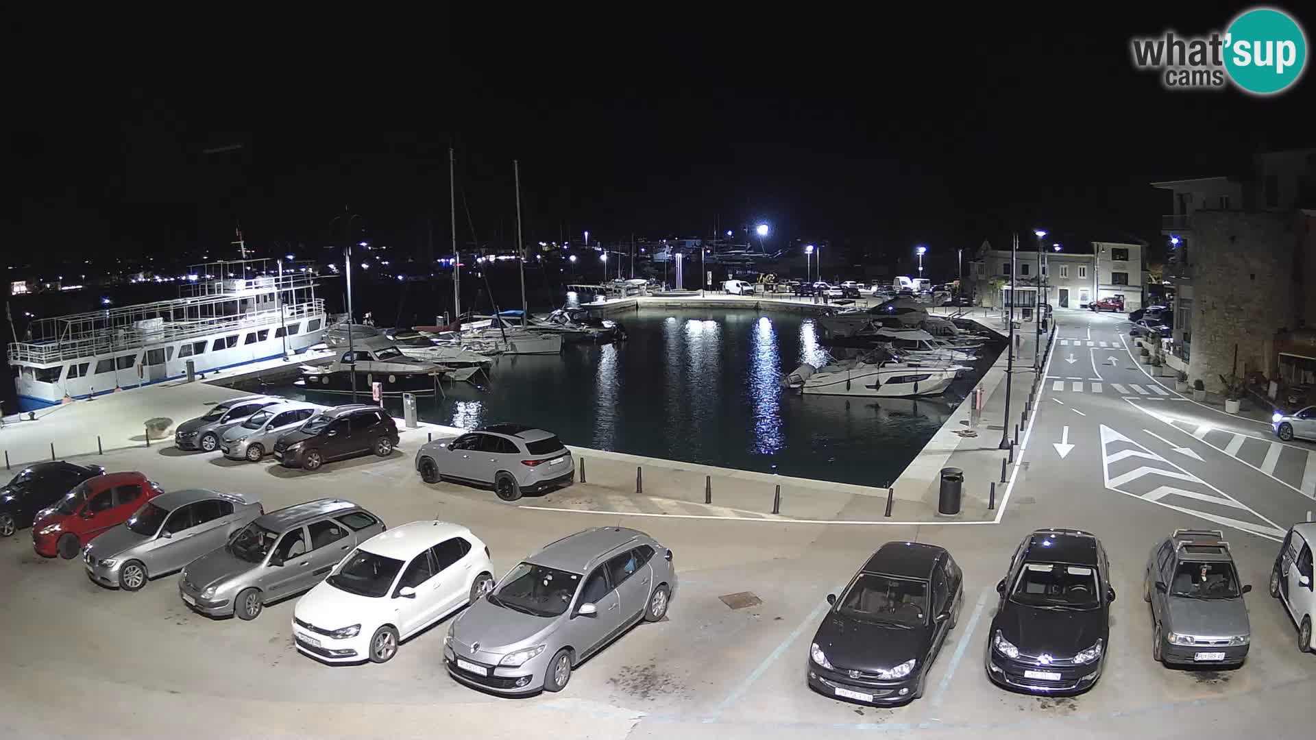 Novigrad | Porporela marina