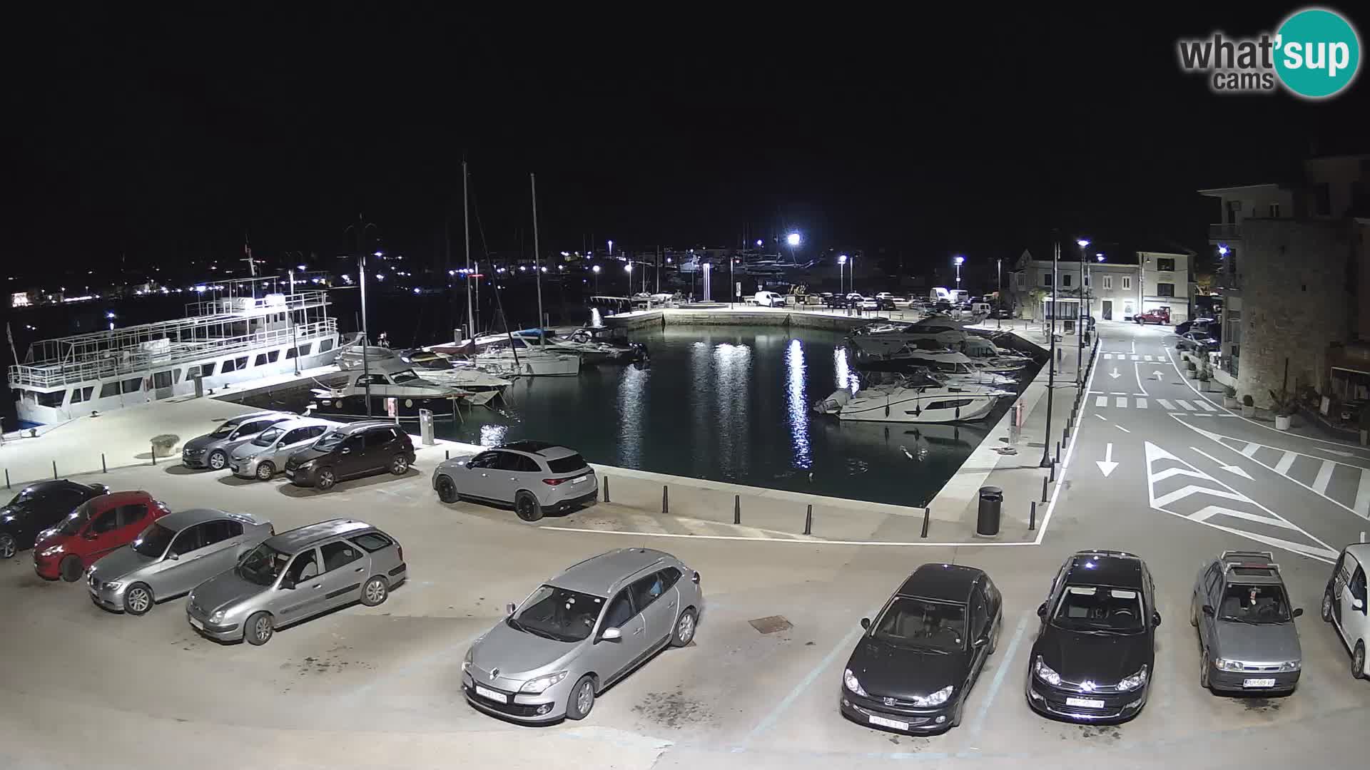 Novigrad | Porporela marina