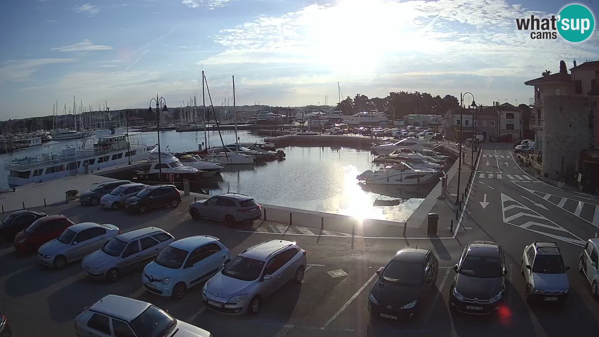 Novigrad | Porporela marina