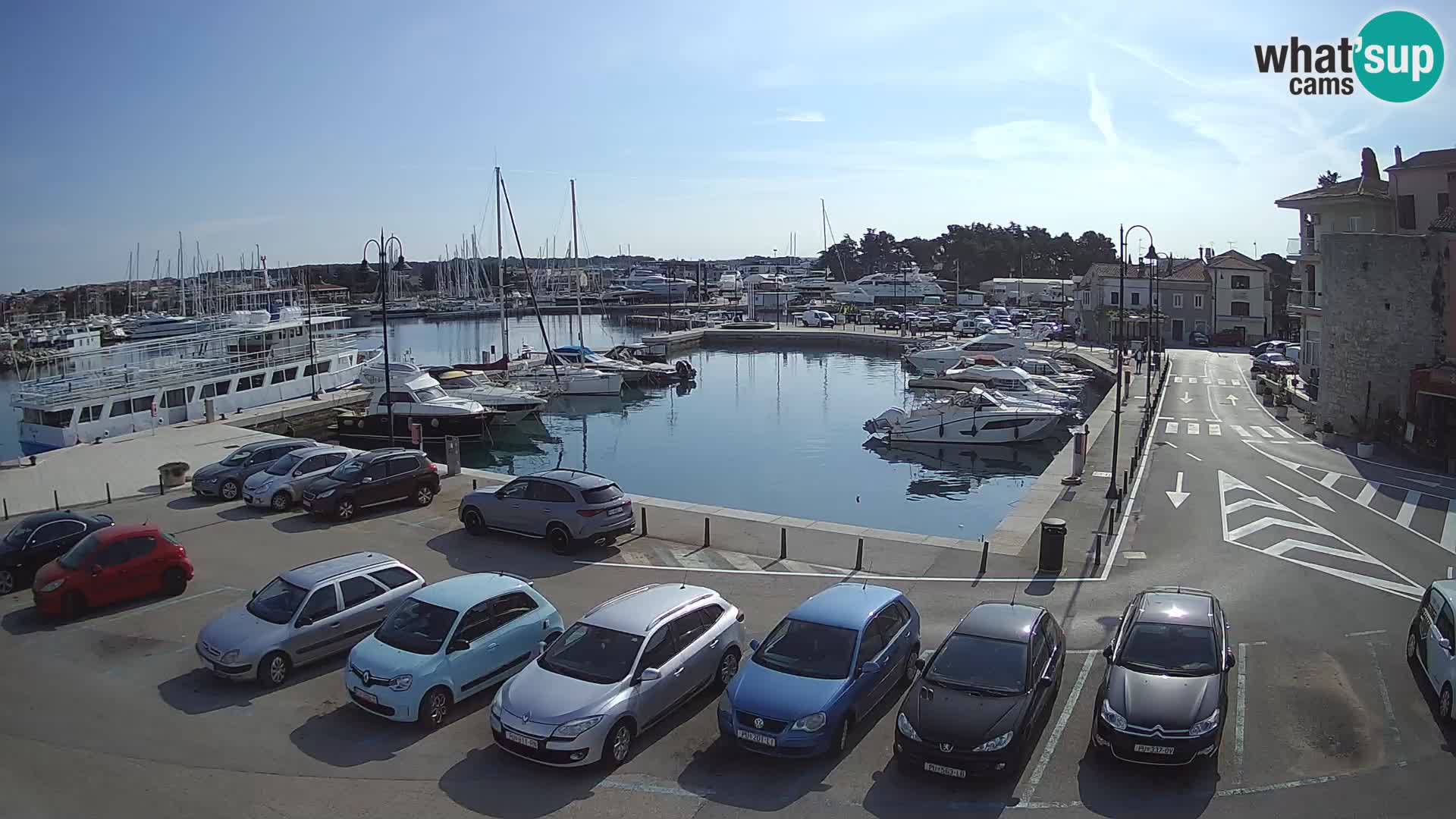 Novigrad | Porporela marina