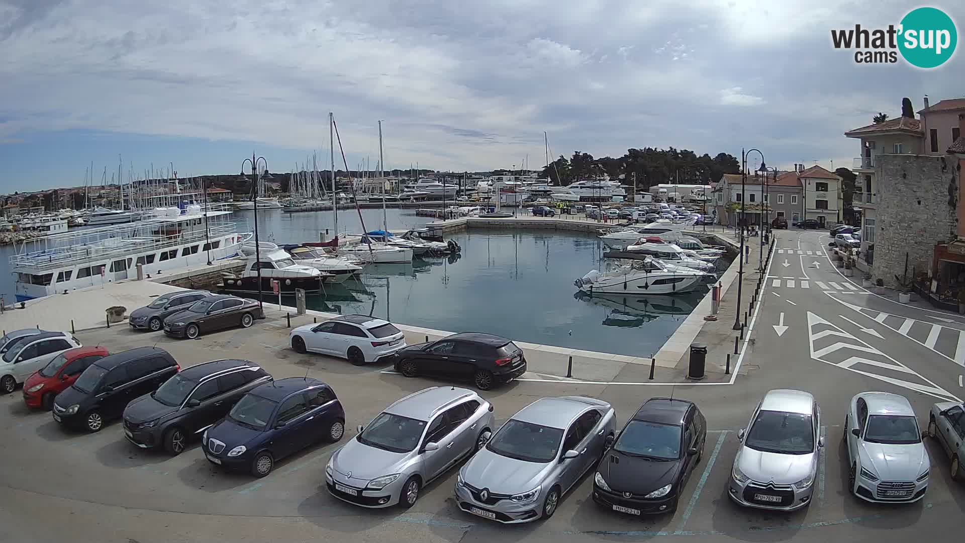 Novigrad | Porporela marina