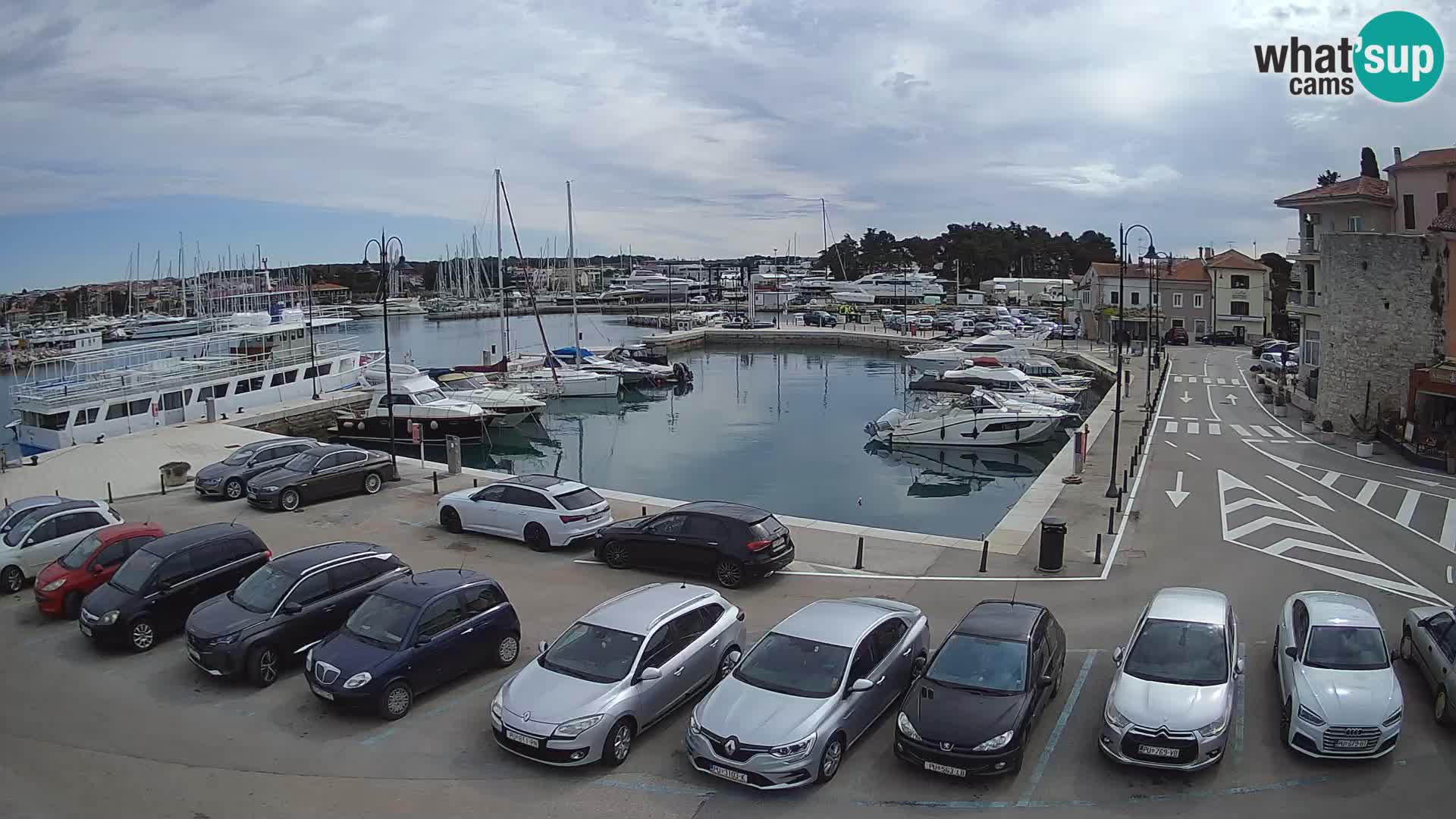 Novigrad | Porporela marina