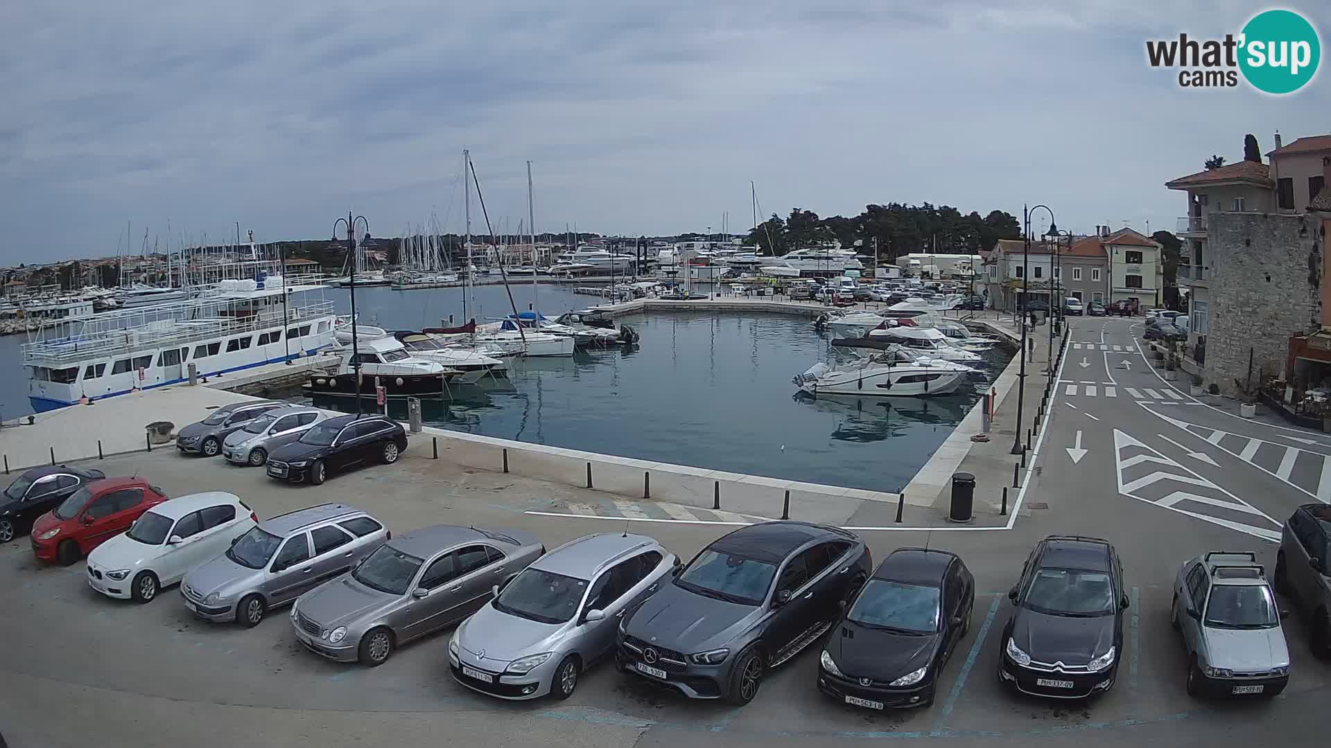 Novigrad | Porporela marina