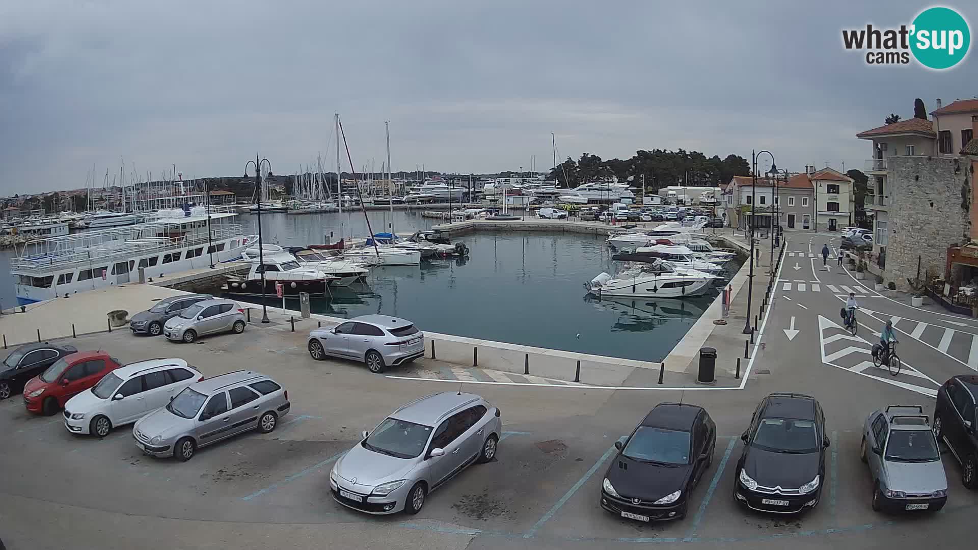 Novigrad | Porporela marina