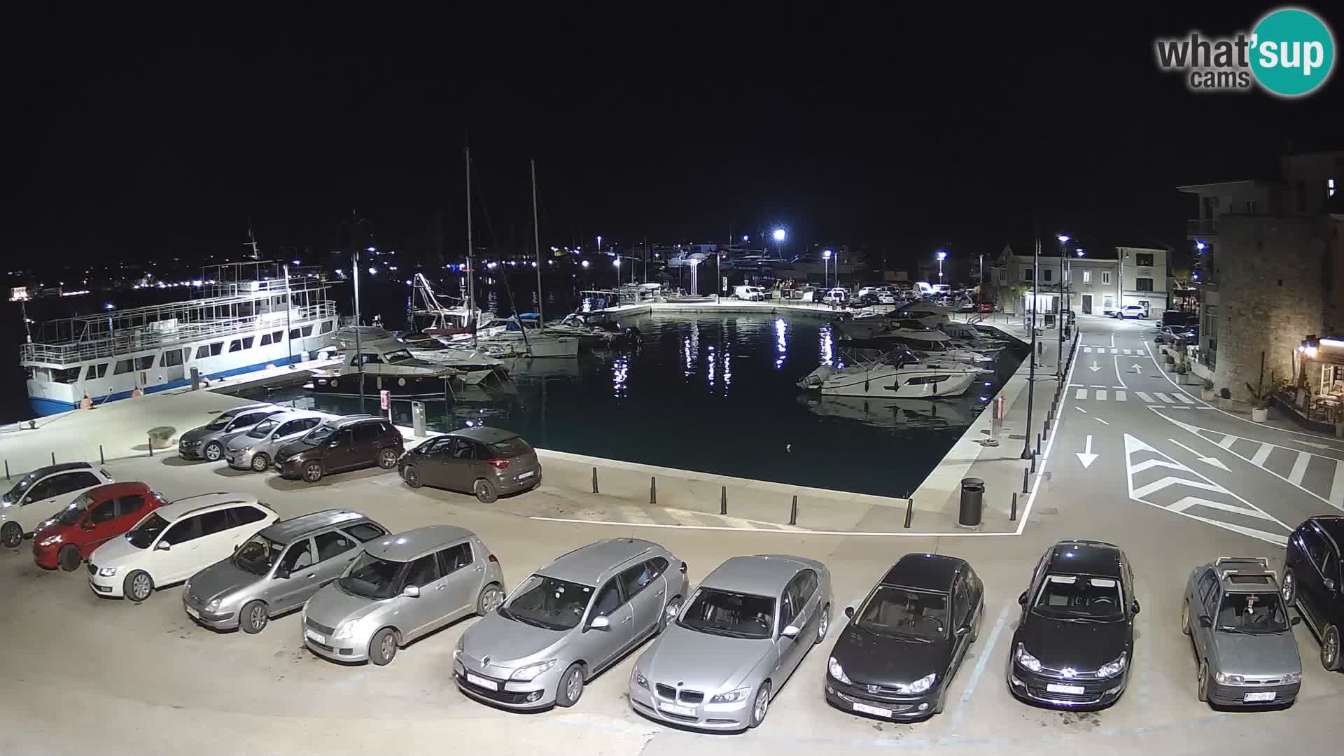 Novigrad | Porporela marina