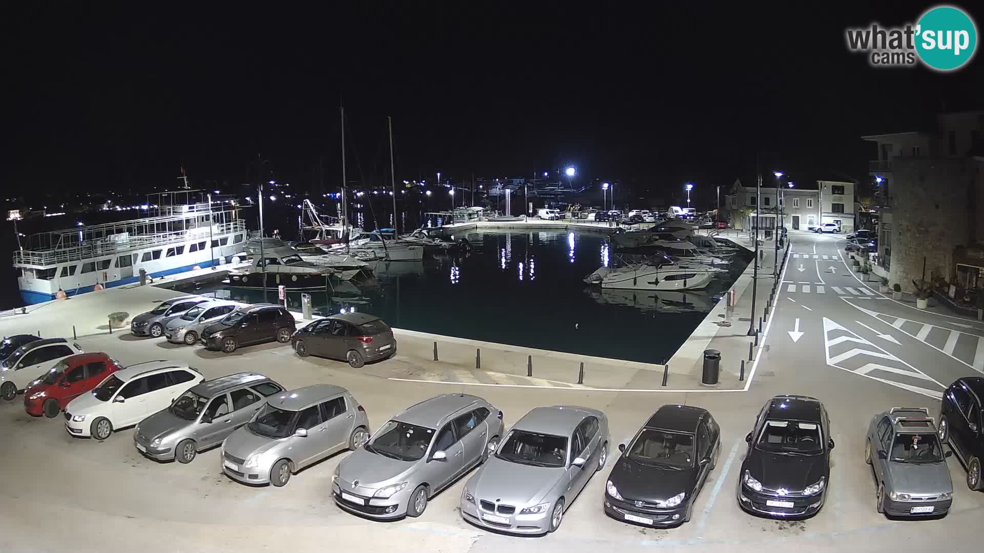 Novigrad | Porporela marina