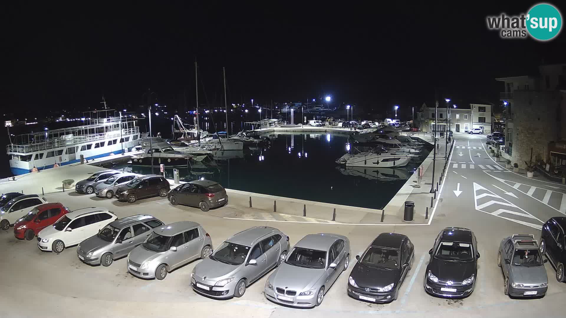Novigrad | Porporela marina