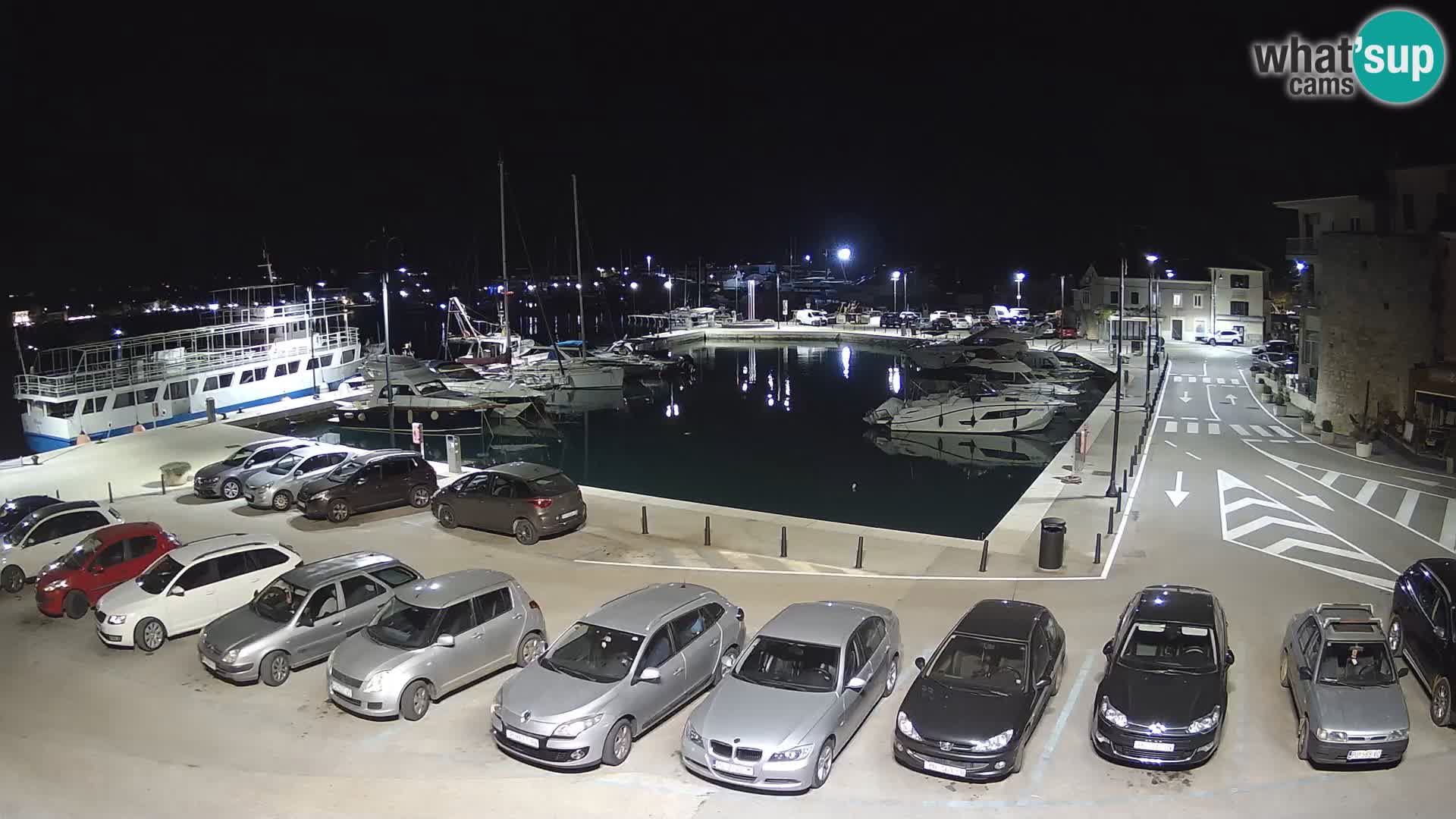 Novigrad | Porporela marina