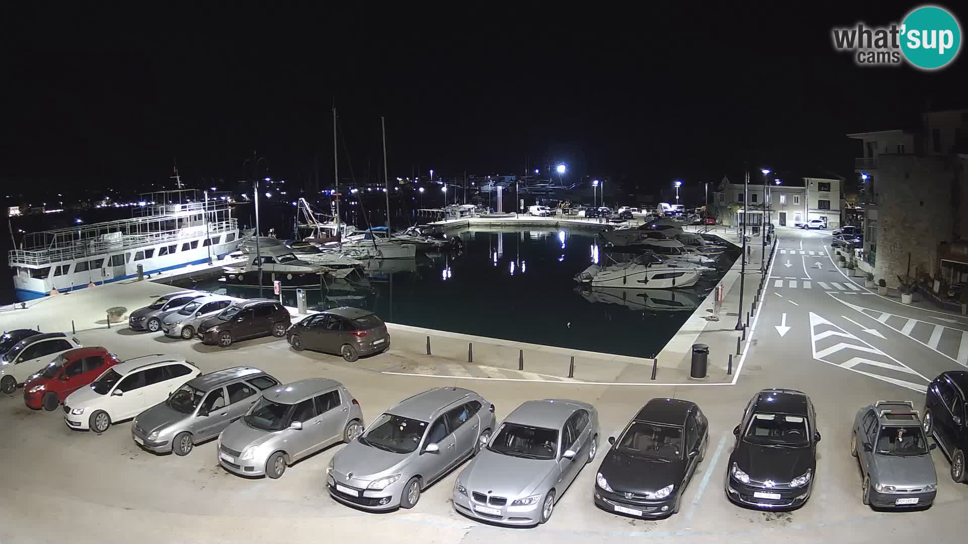 Novigrad | Porporela marina
