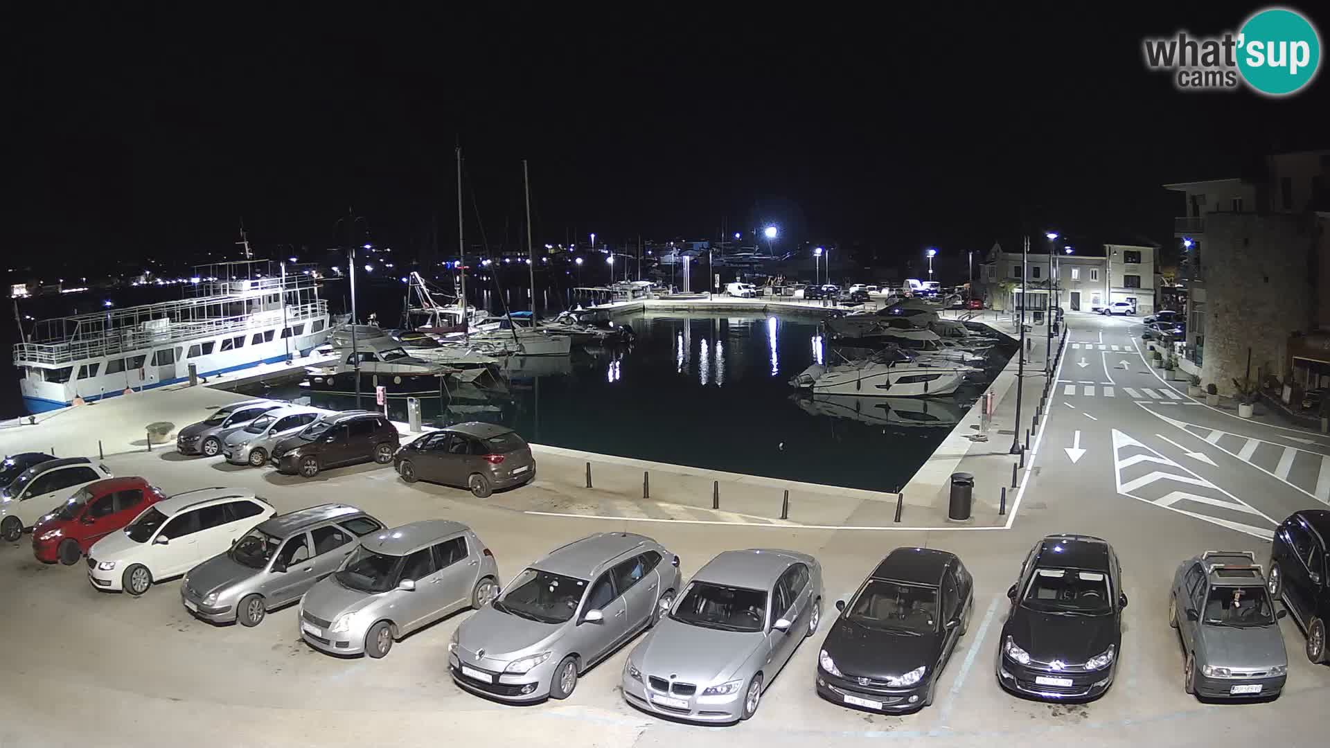 Novigrad | Porporela marina
