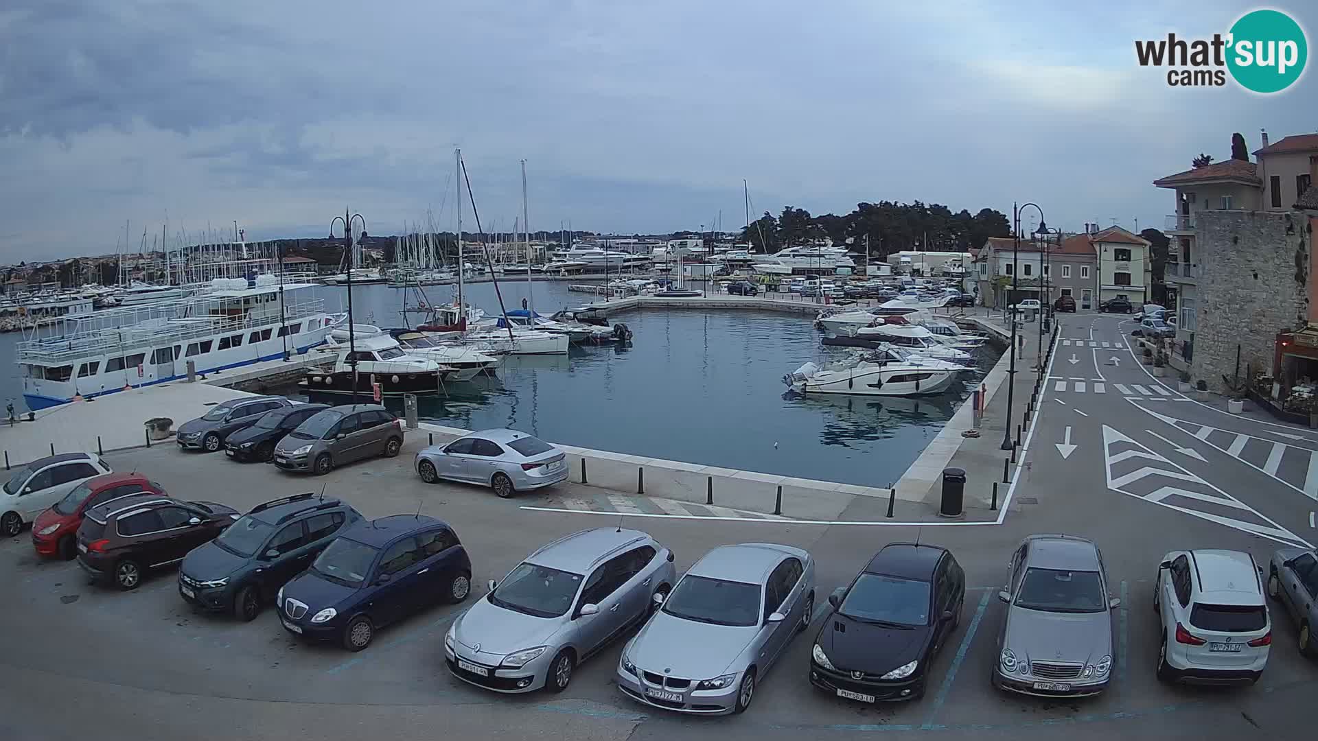Novigrad | Porporela marina