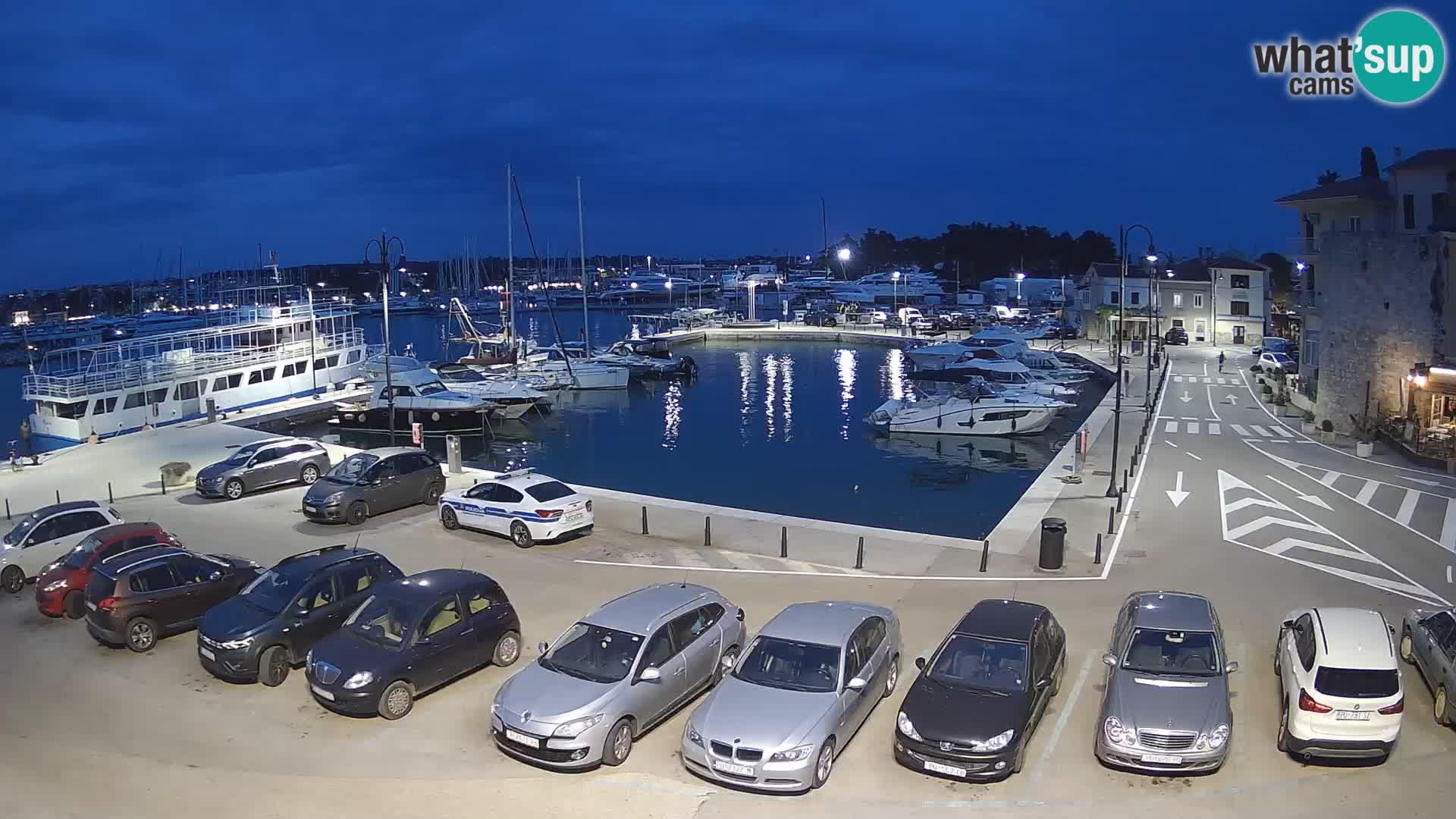 Novigrad | Porporela marina