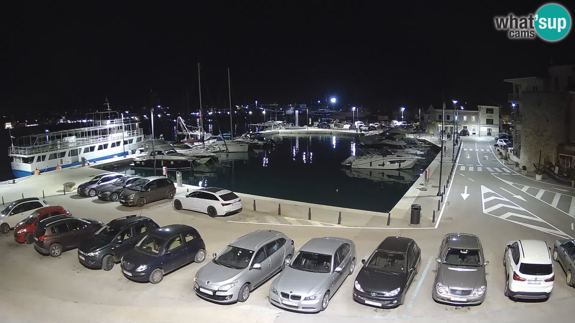 Novigrad | Porporela marina