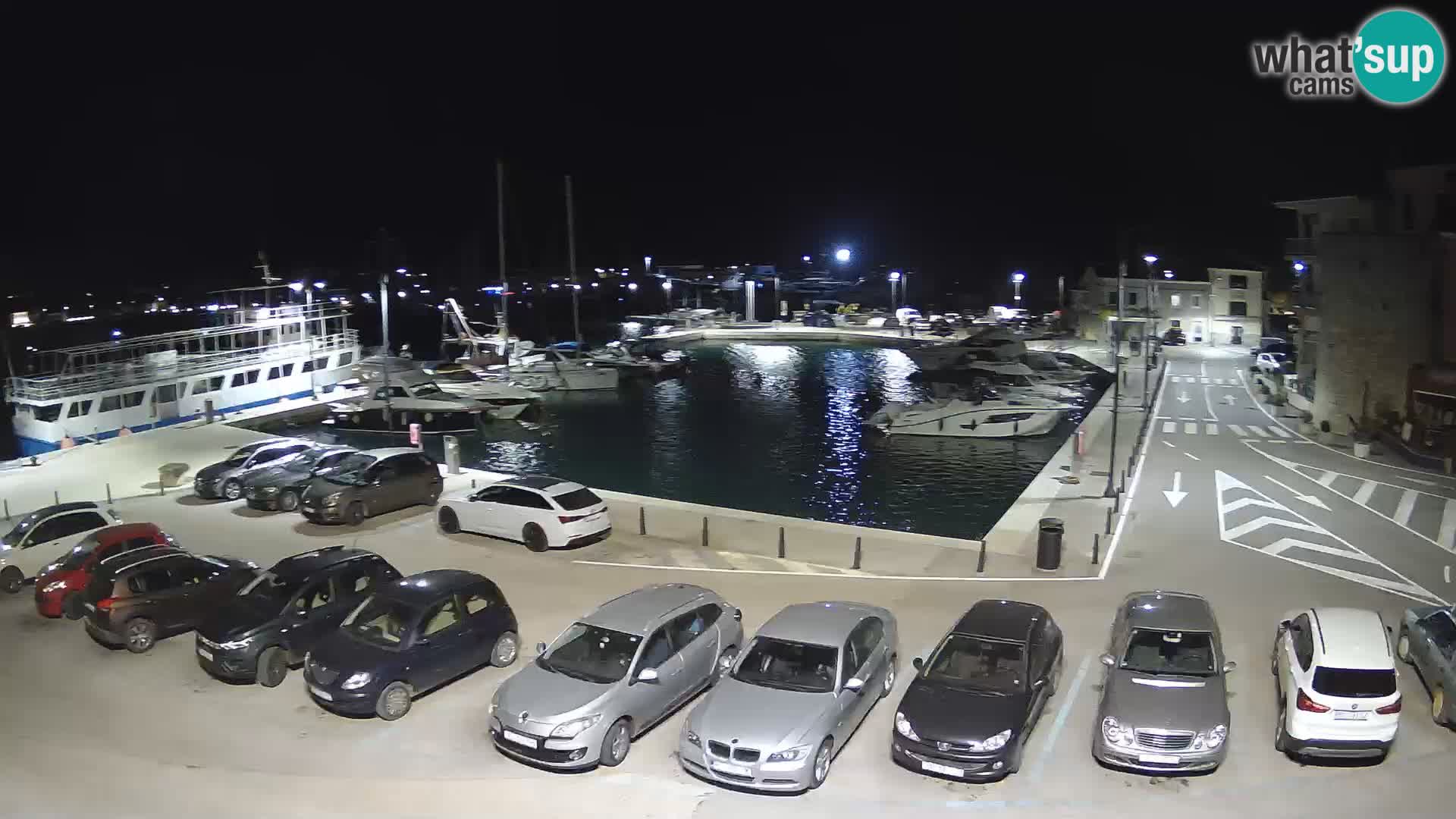 Novigrad | Porporela marina
