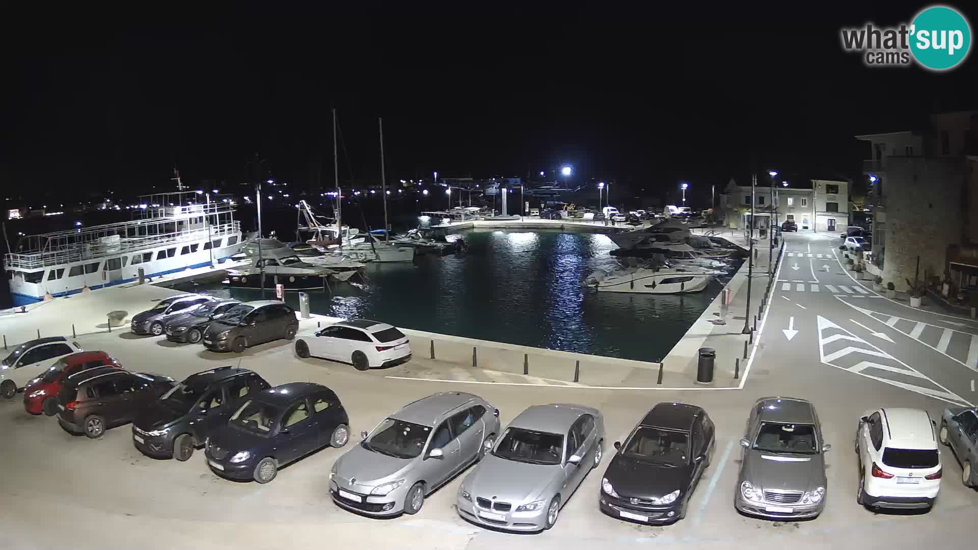 Novigrad | Porporela marina