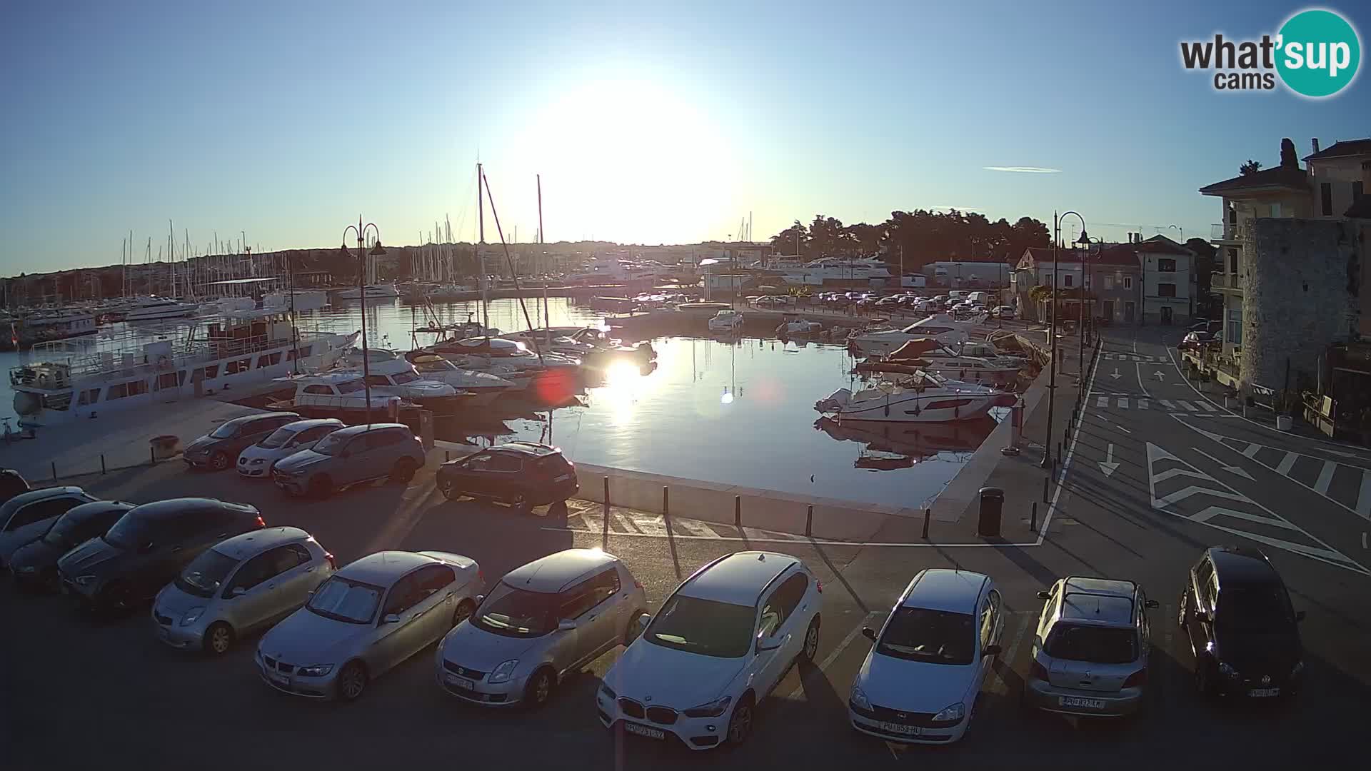 Novigrad | Porporela marina