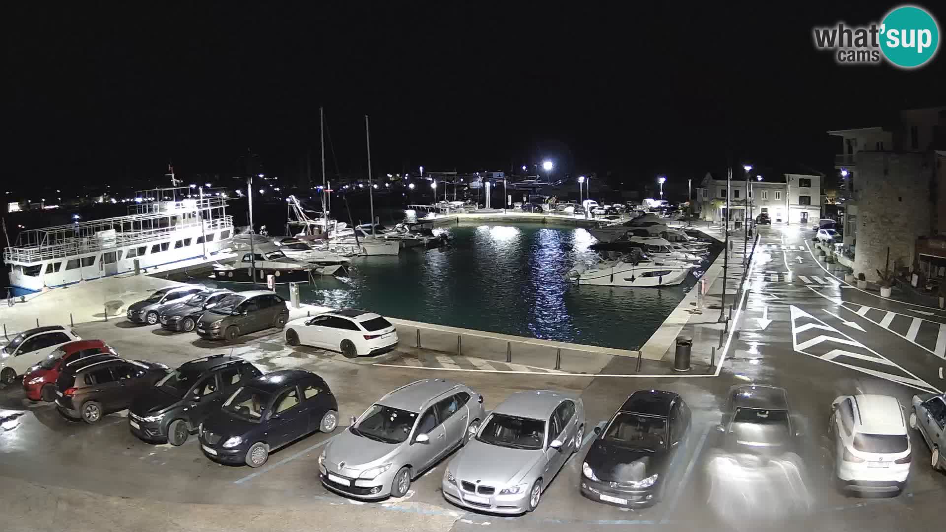 Novigrad | Porporela marina