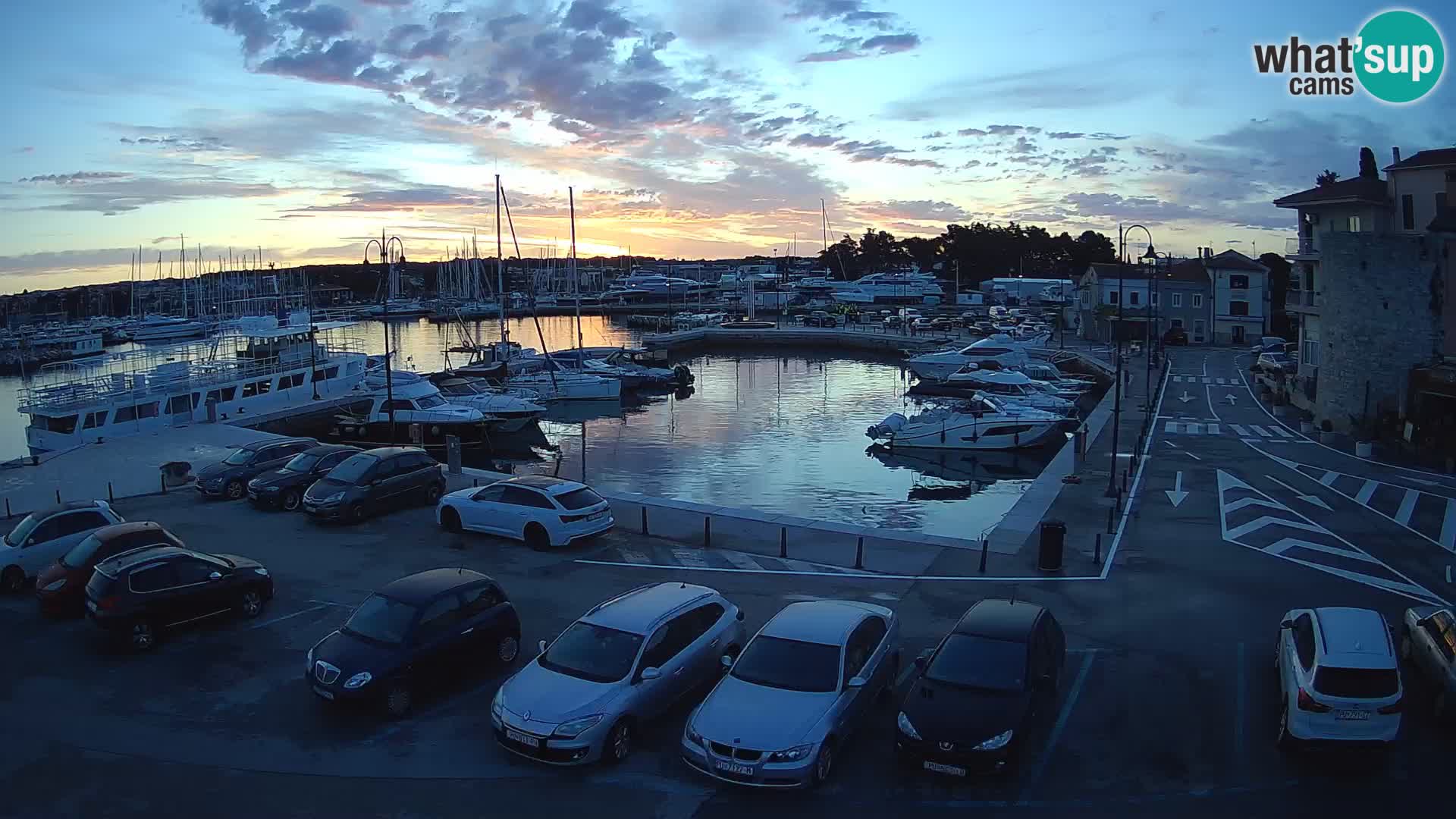 Novigrad | Porporela marina