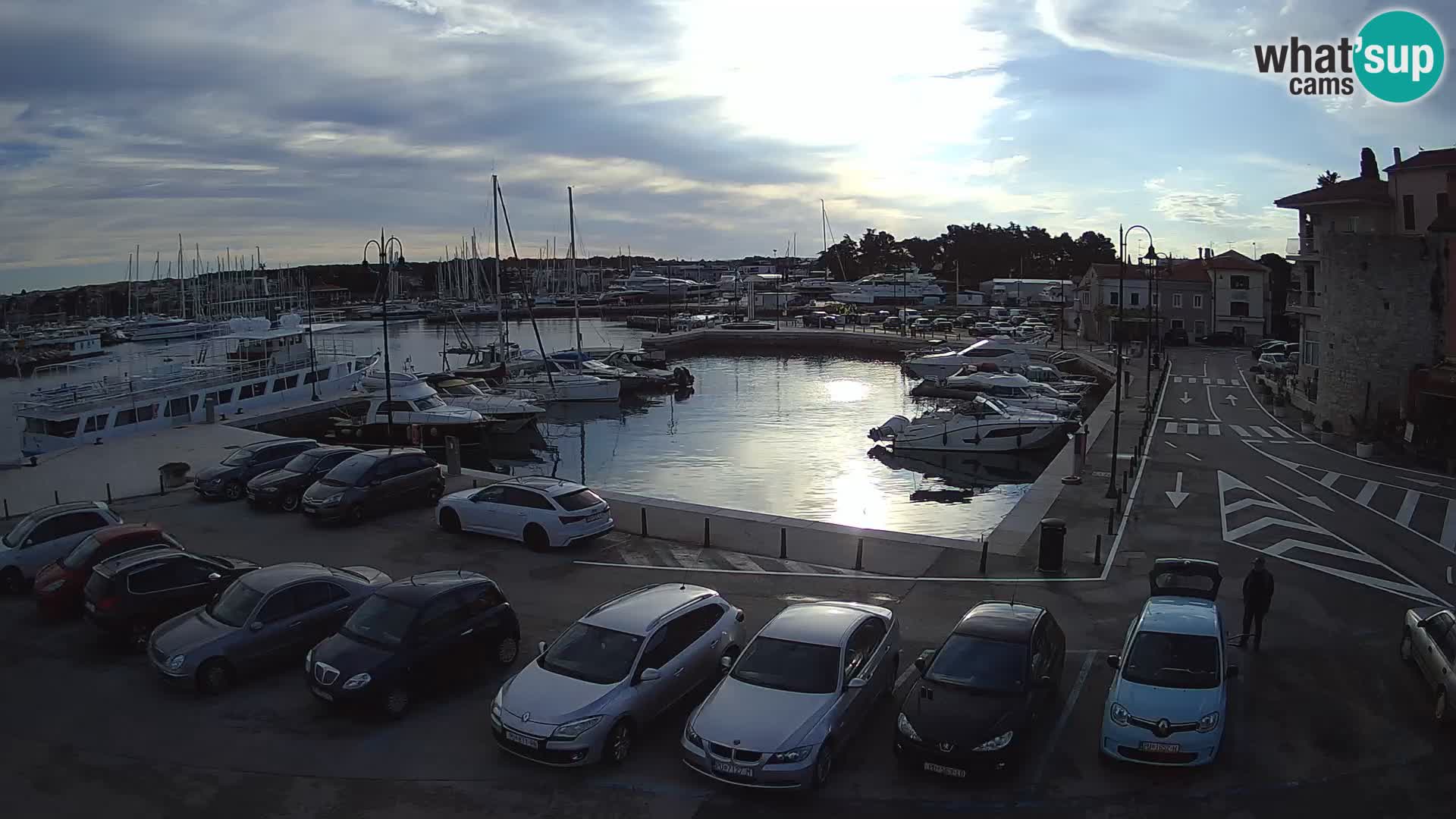 Novigrad | Porporela marina