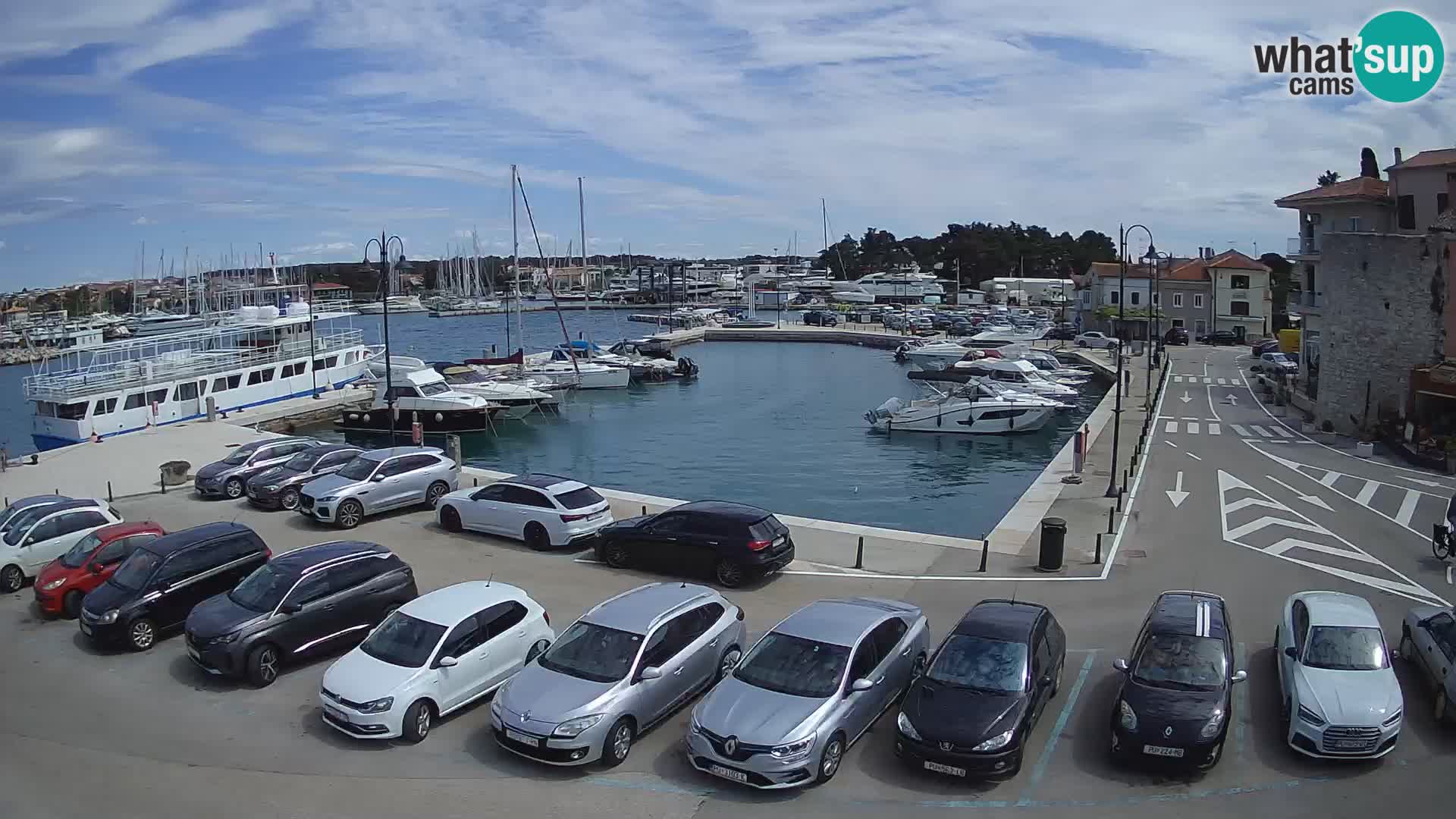 Novigrad | Porporela marina